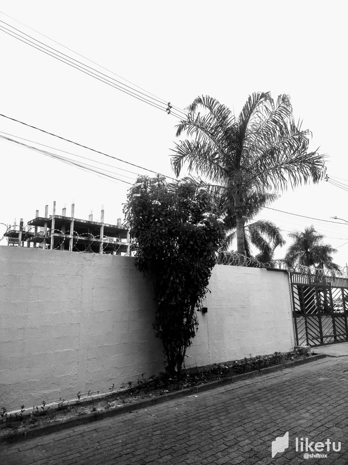 UKdGJKw5WxiLySkd_3.webp