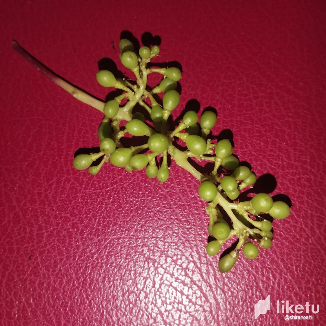 cljrzt26501zm0xsz4styet53_Imagen8.webp