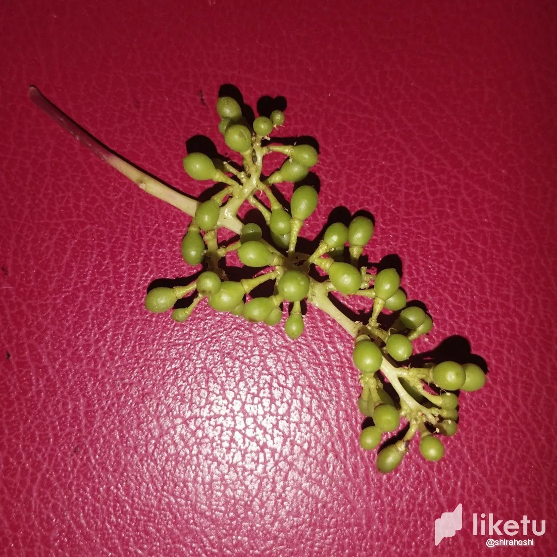 cljrzt2mf01wx9isz1l2d1l37_Imagen6.webp