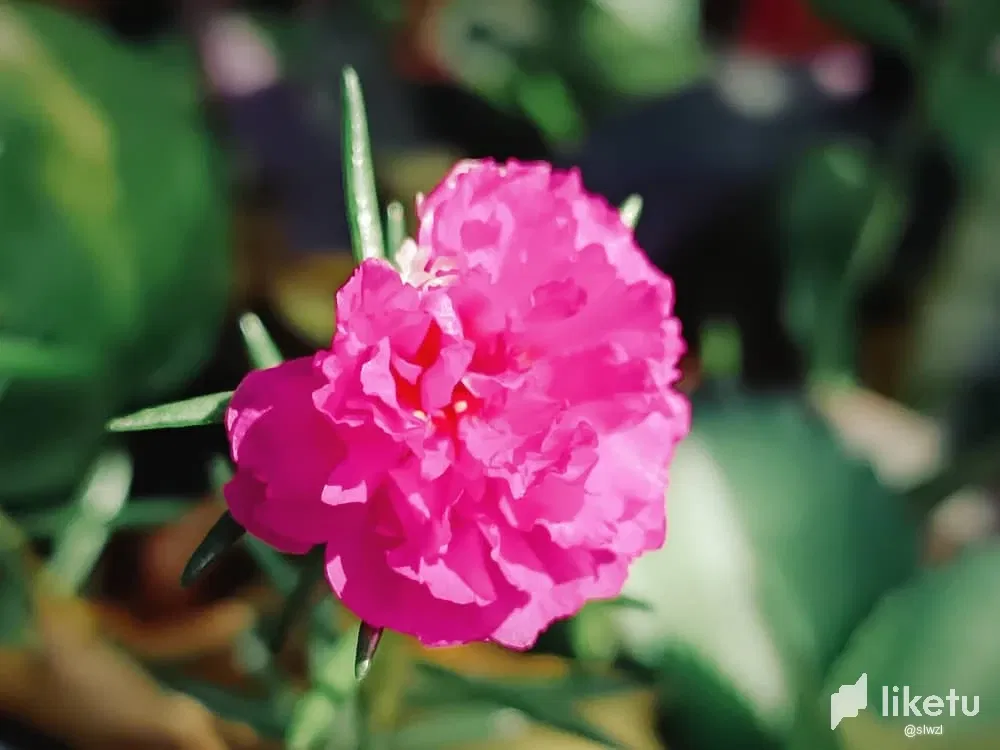 CejzcHjY50dvsxVZ_ecos_naturaleza_4.webp