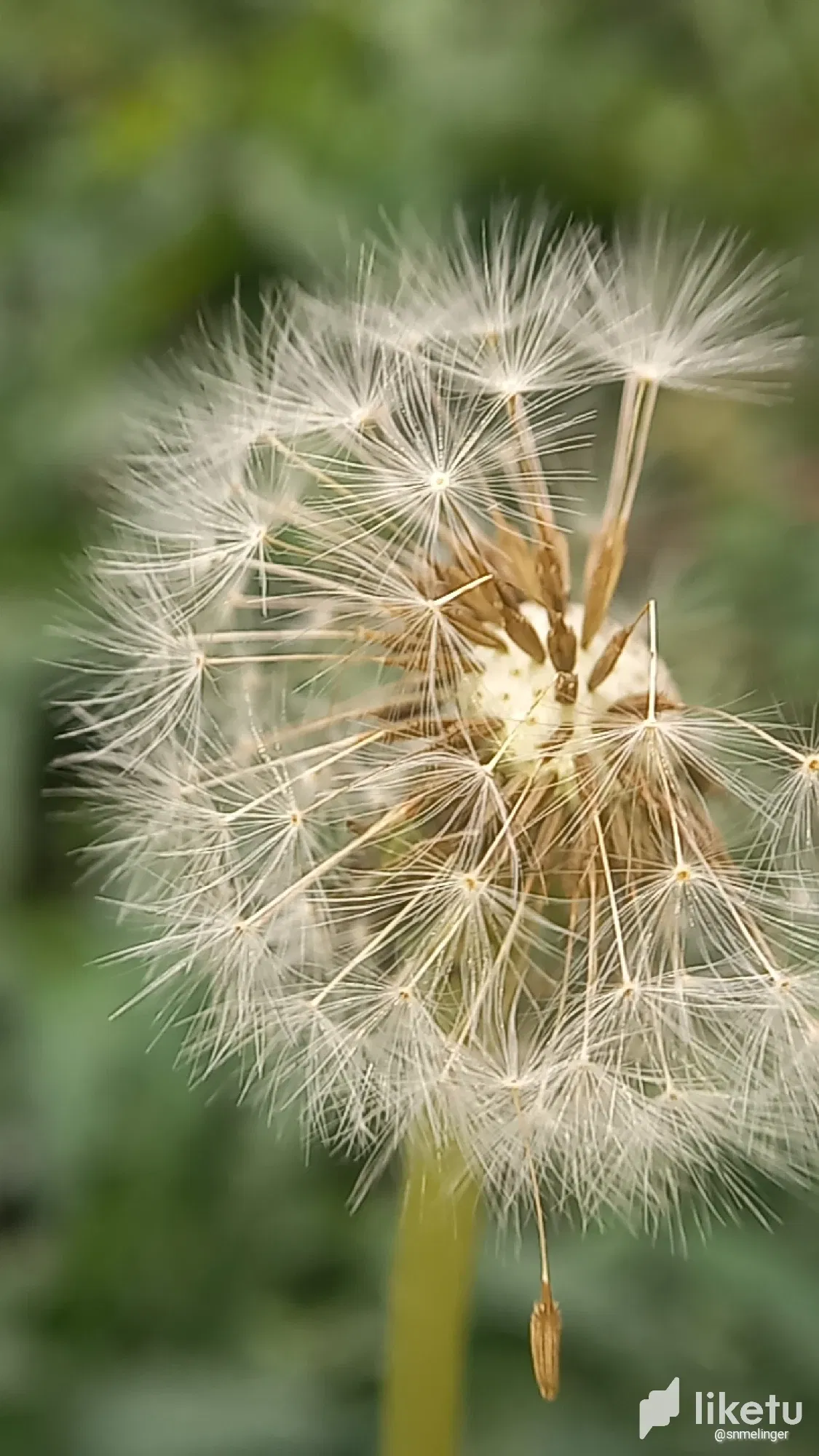 clsdgi6at000cbtsze0ze7t07_cameringo_20240206_153656.webp