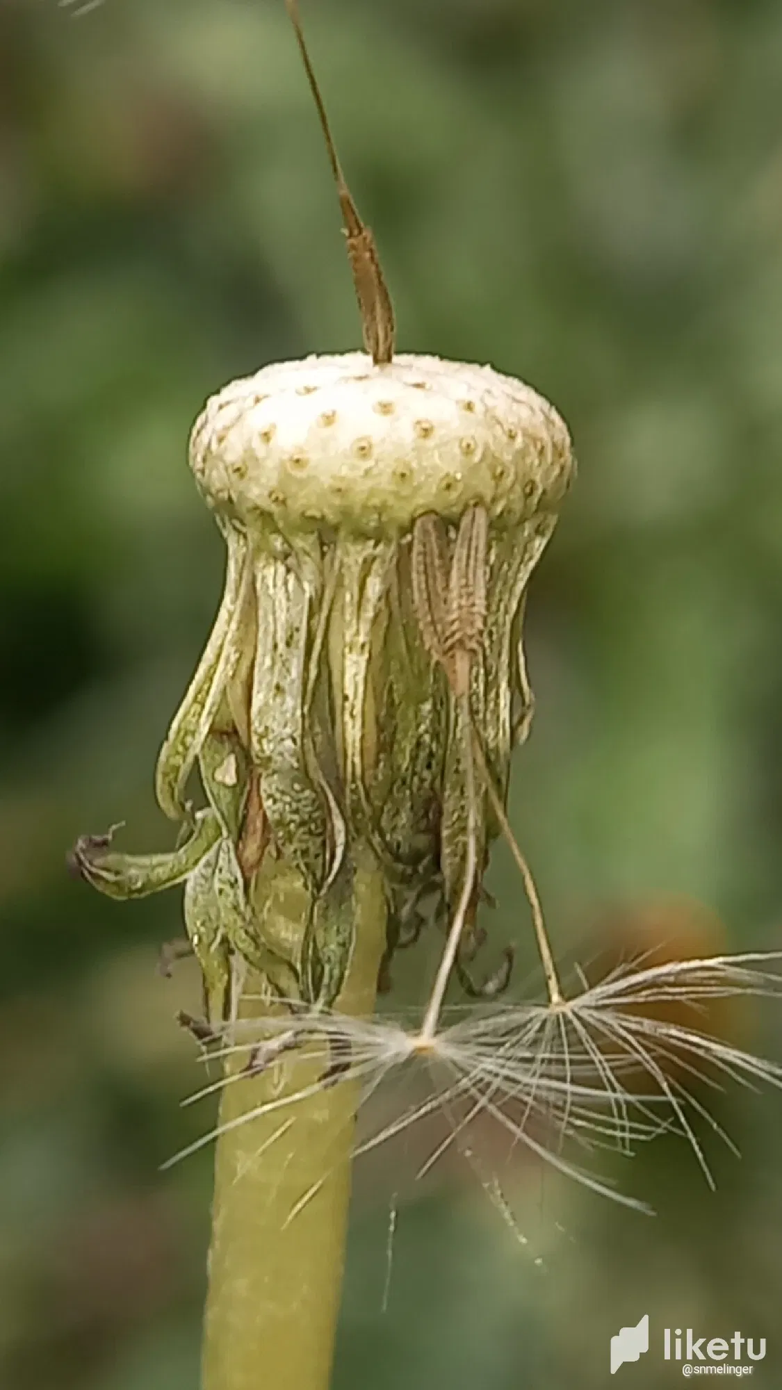 clsdgje6i001e2eszegq324c6_cameringo_20240206_153727.webp