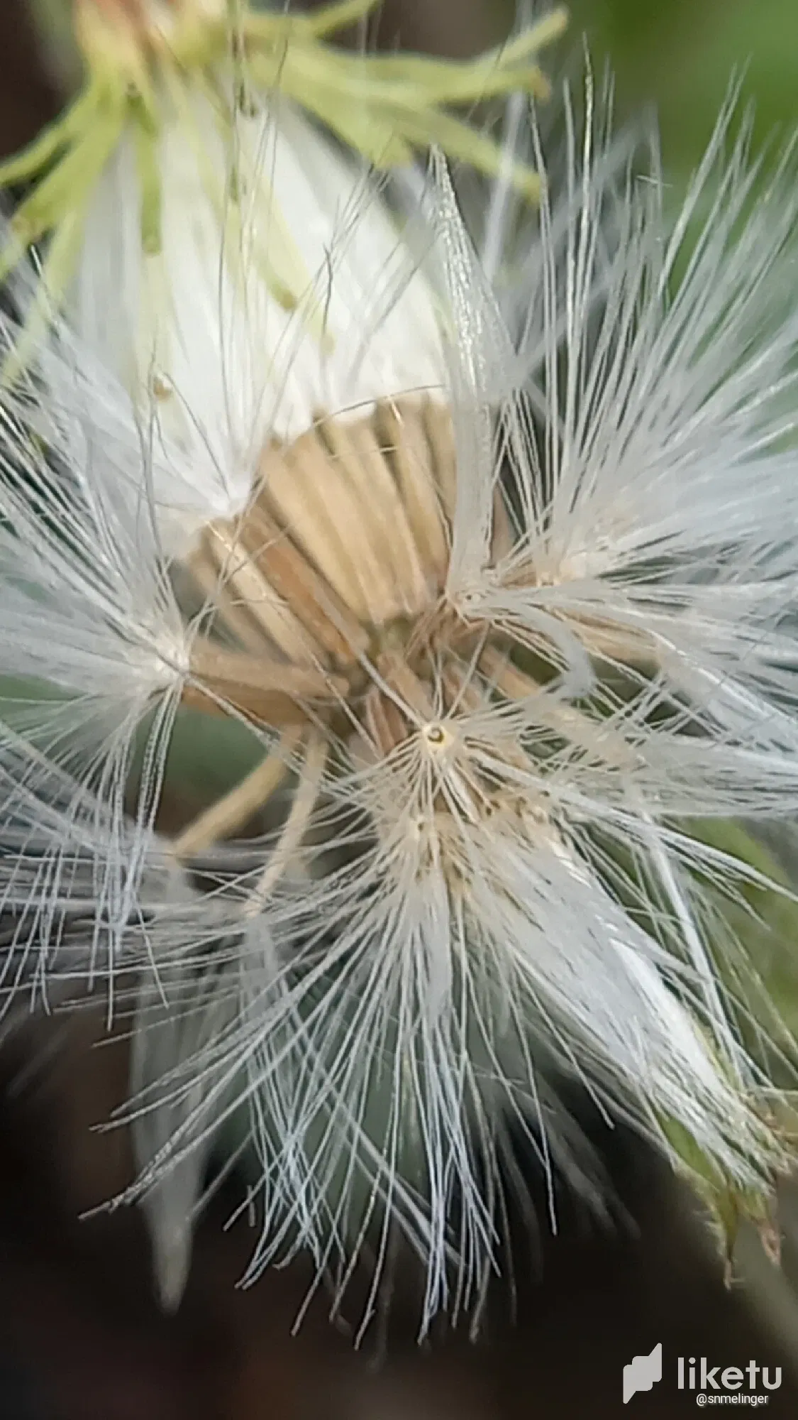 clsdgkgwr001g0lszbkby1tkk_cameringo_20240207_155727.webp