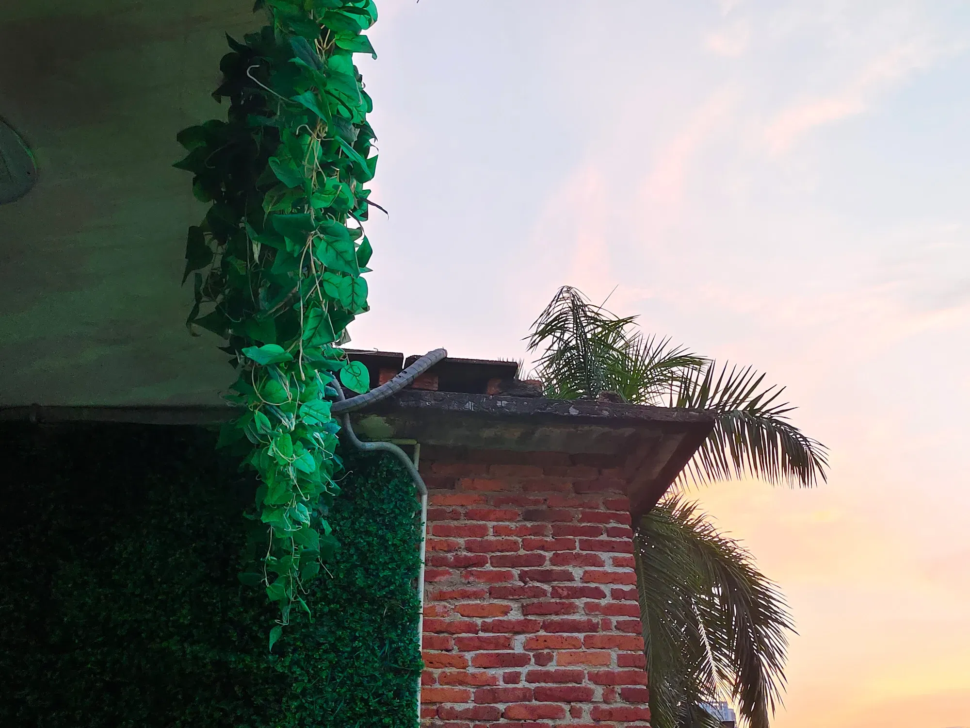 IIJ4LrTbEv9IdsJj_IMG_20250919_185311.webp