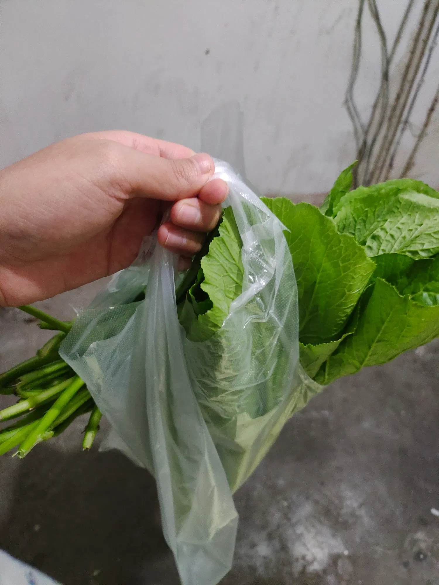 tJmwlKzo8JGwF7lR_IMG_20250916_192008.webp