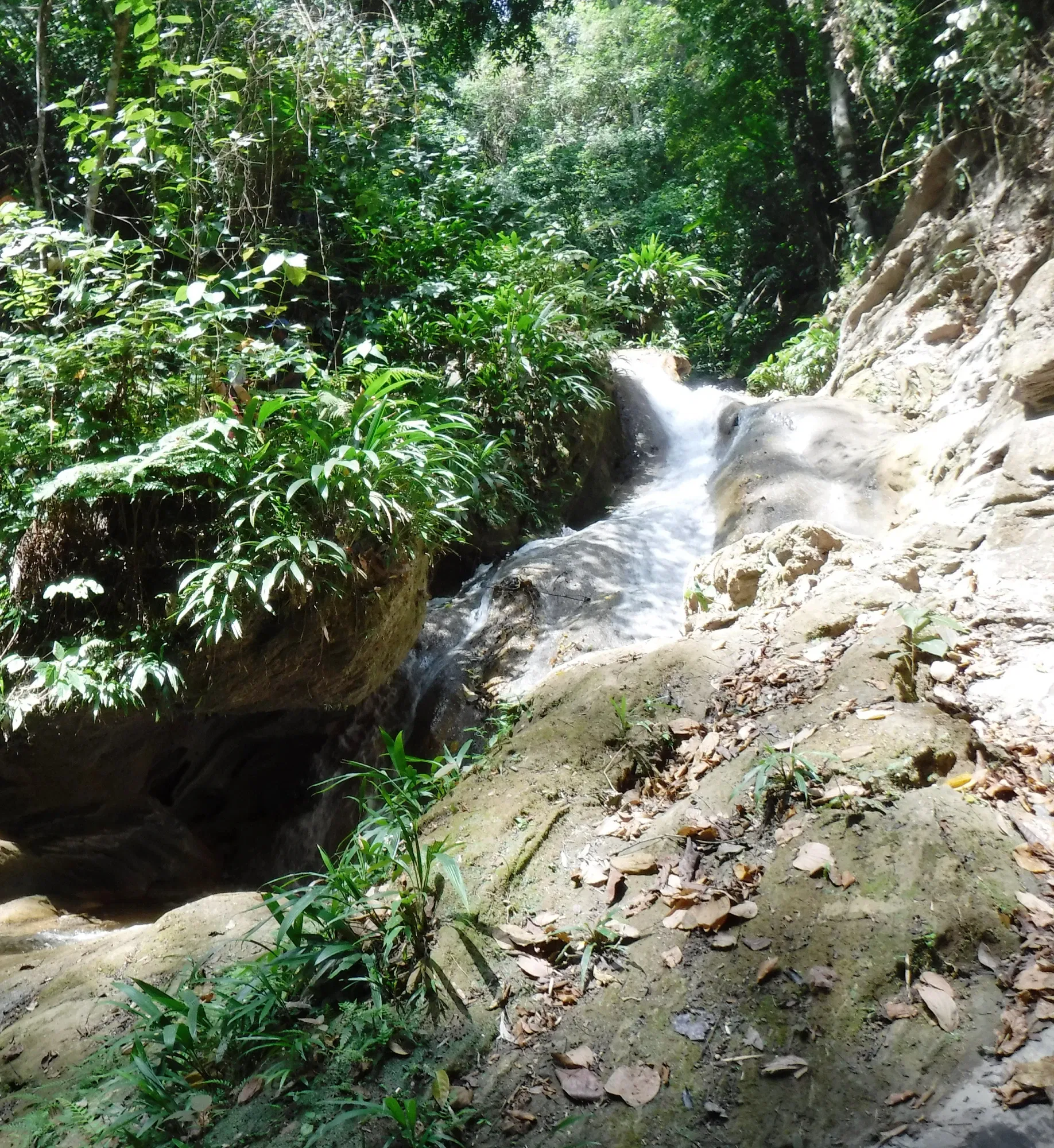 ckE5CysSj4s3YPks_DSCF7910.webp