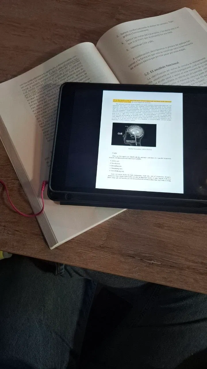 fDQraIbFHsUCWVVO_photo_5166119610502721037_y.webp