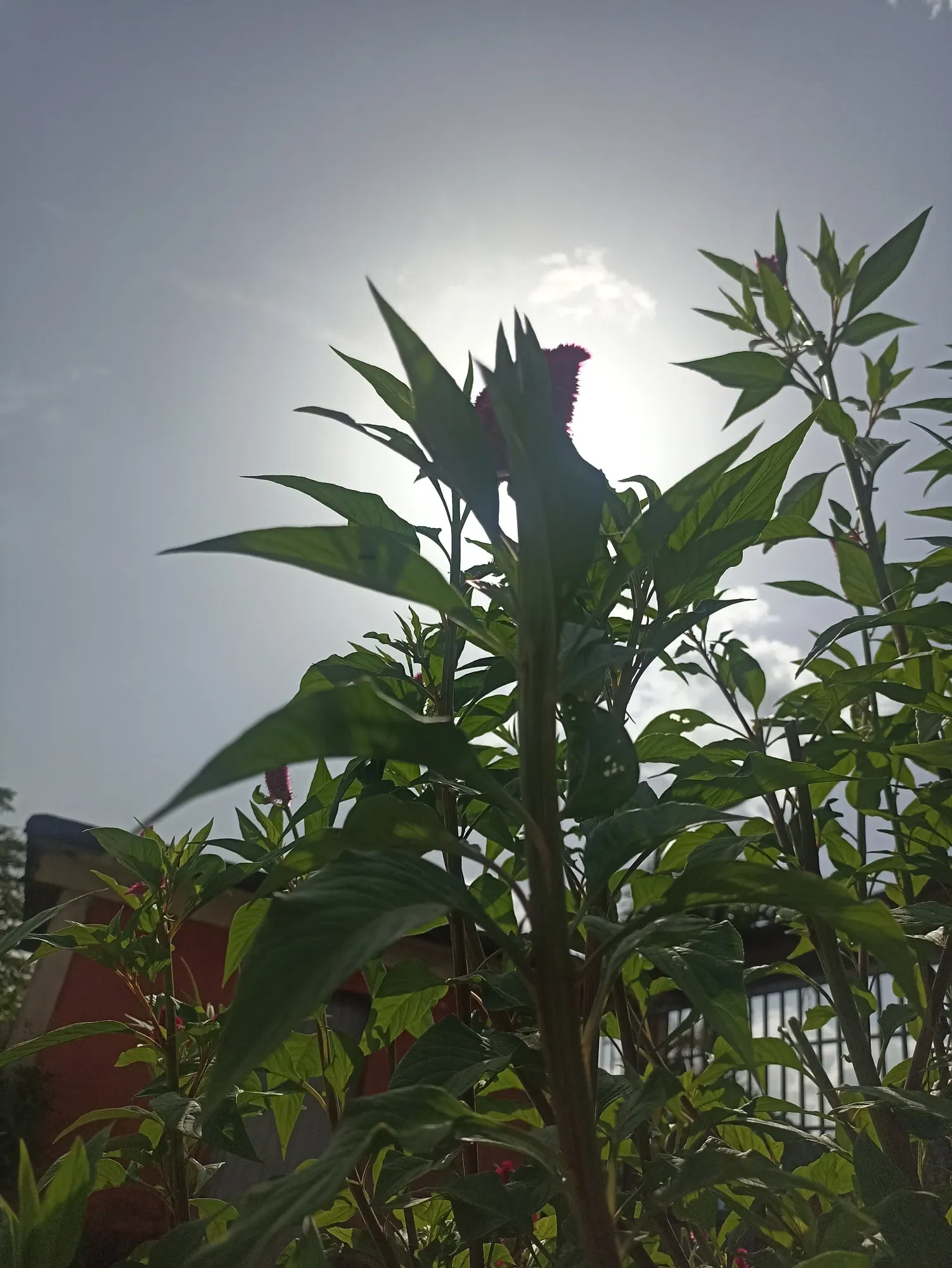 HeEUE3fnKraDAqxi_IMG_20240626_153209.webp