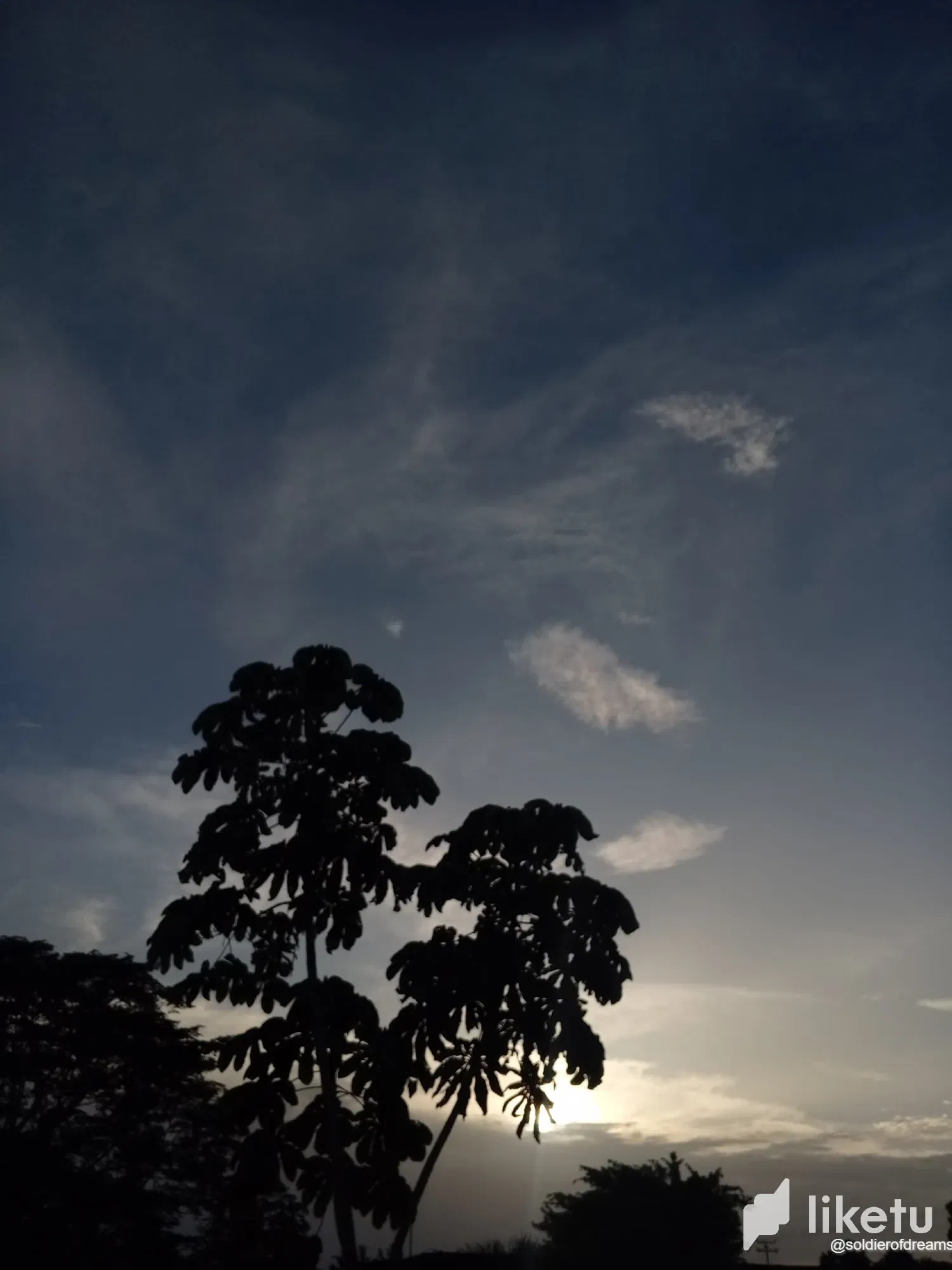 c4Nv7X99Ll6V2WPq_IMG-20250804-WA0242.webp