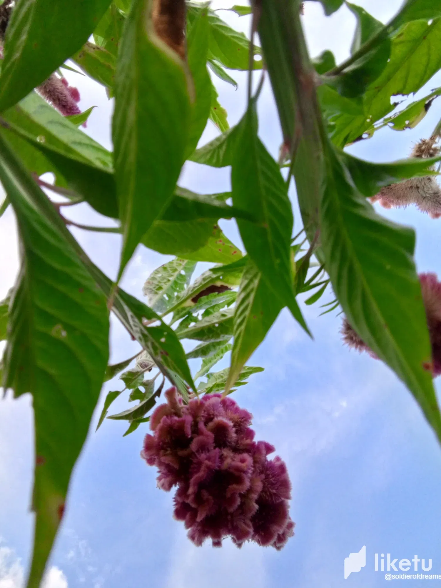 fuX98vl1rz1JFrx9_IMG-20250804-WA0251.webp