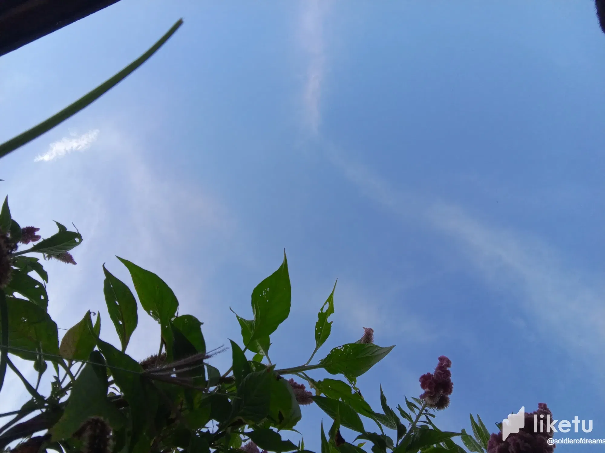 gvrkuKj32D9Afw2I_IMG-20250804-WA0241.webp