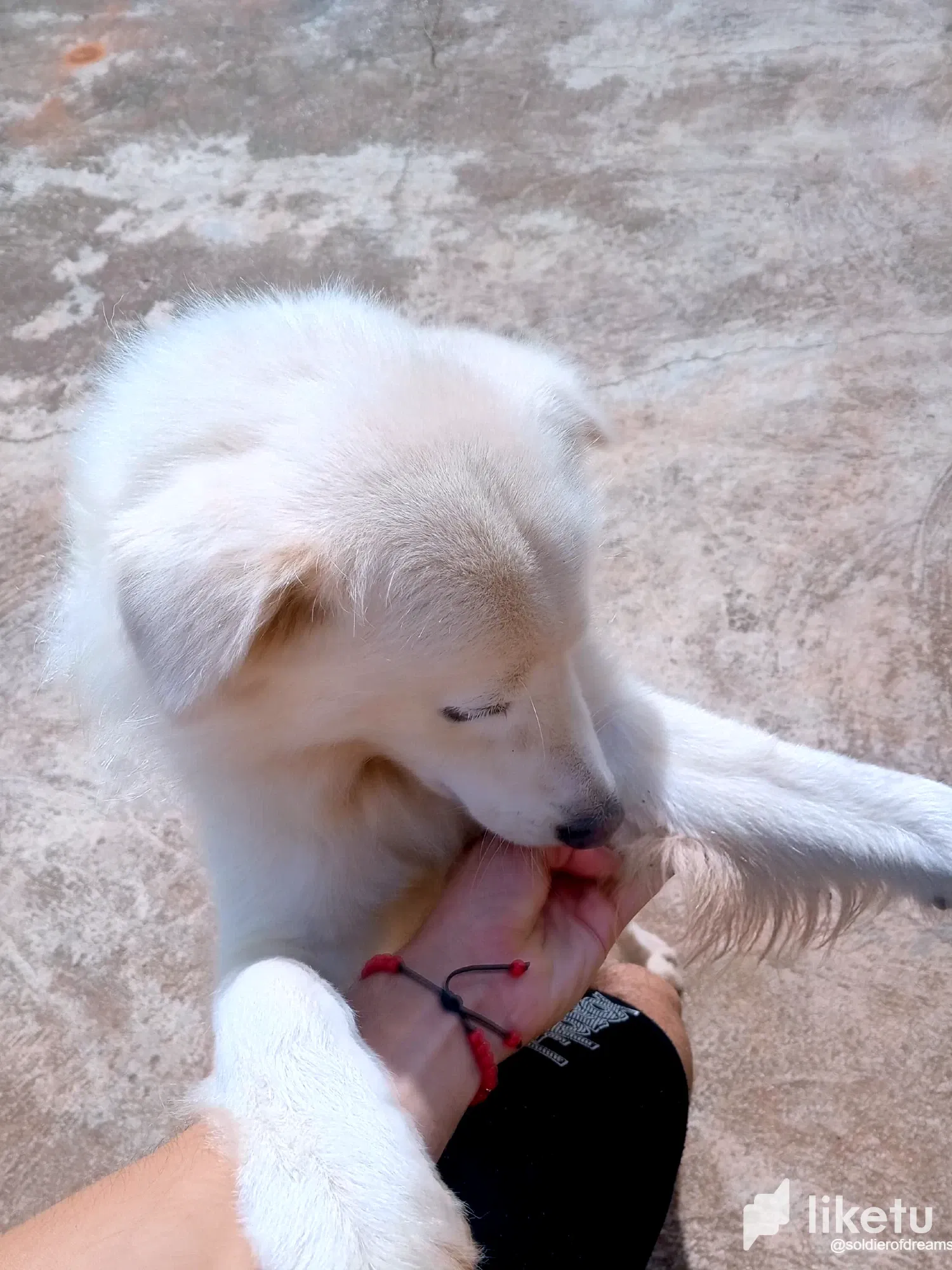 z8WBZMMu2ZciJHNT_IMG-20250727-WA0041.webp