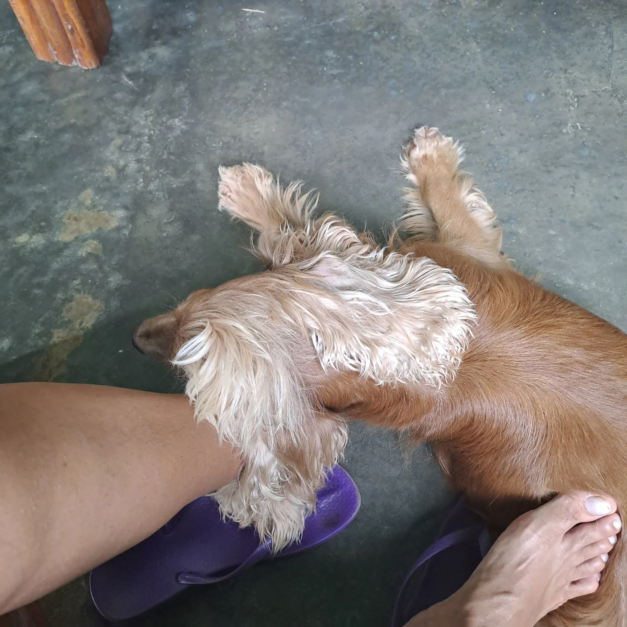 hQXdj2pah88eVjax_20250421_110122.webp