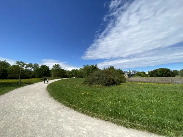 zMSSJe7U6YaRLSvt_IMG_2347.png