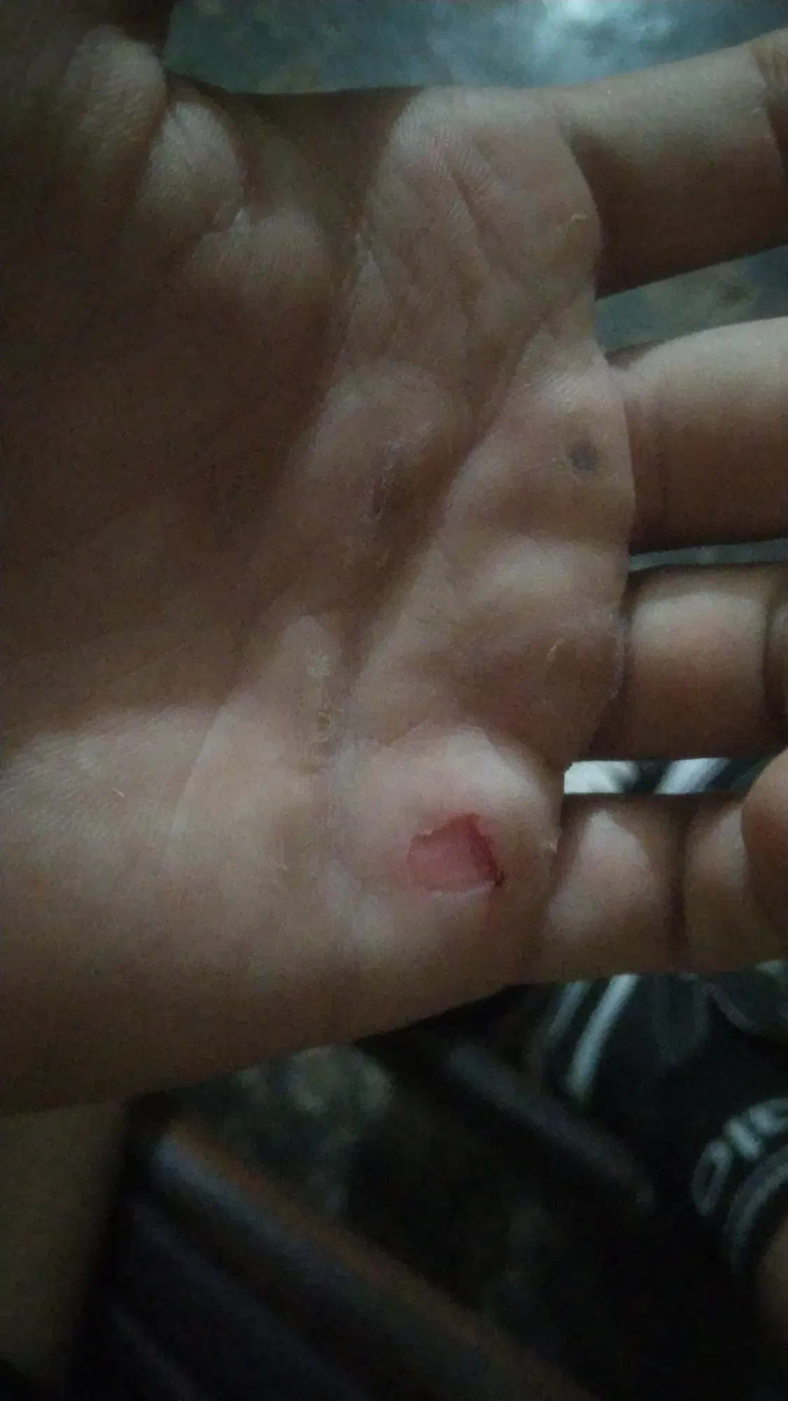 LXH6HVYMCHLbolou_IMG-20250915-WA0022.webp