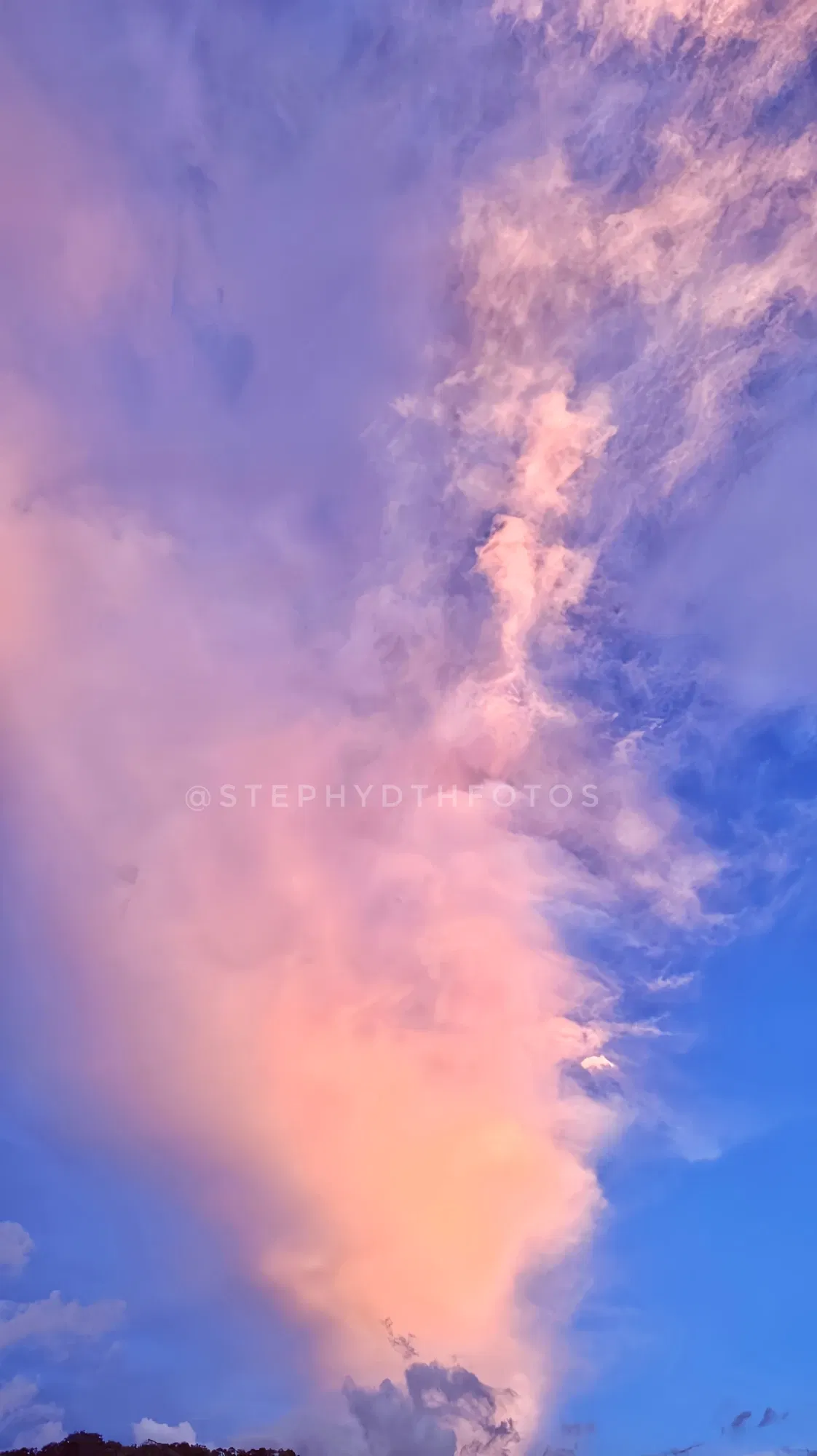 KiMSyPcvhaMtmDKJ_1000247734.webp