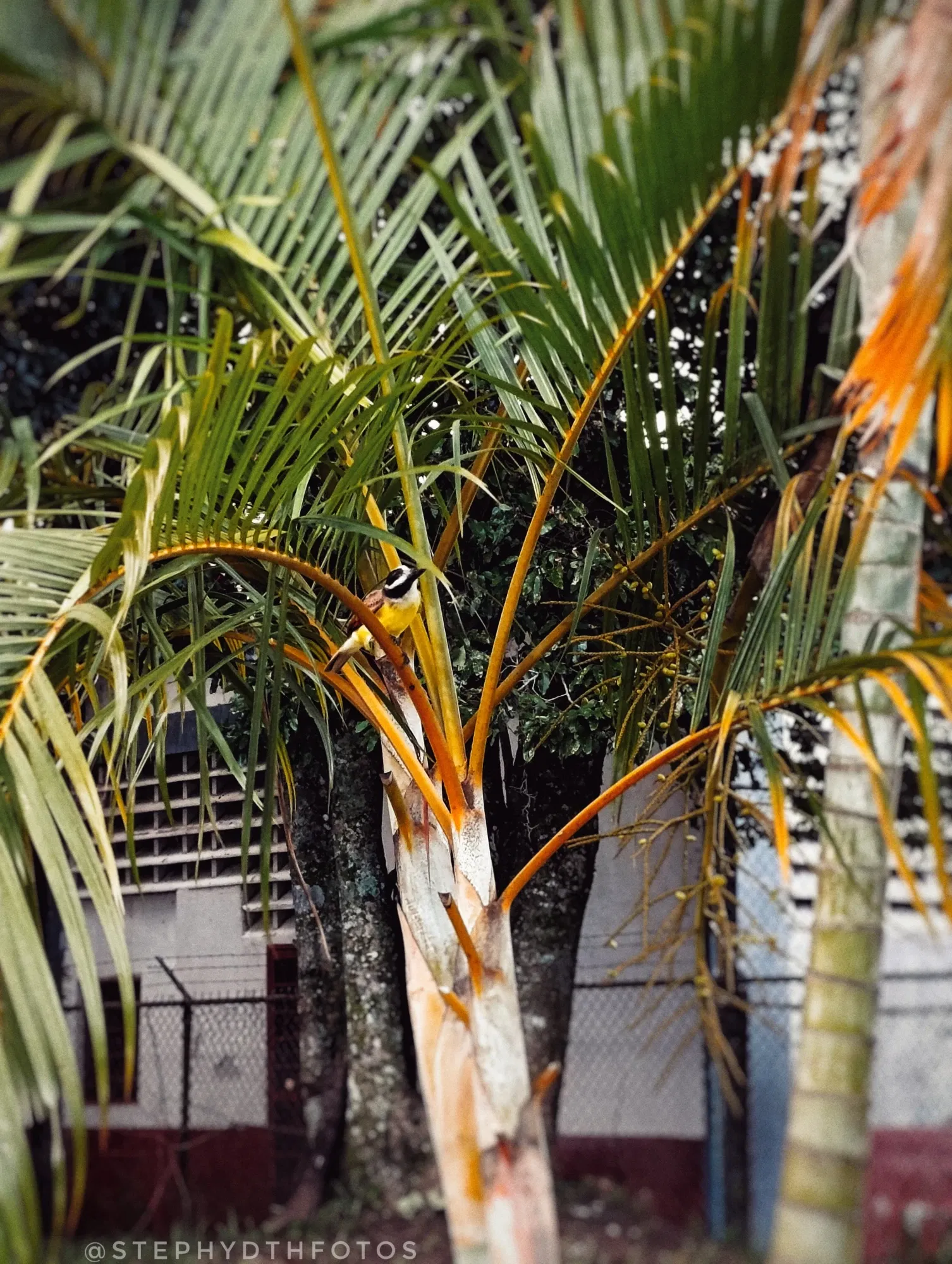 VXBBSepkcK4pYUVe_1000203628.webp