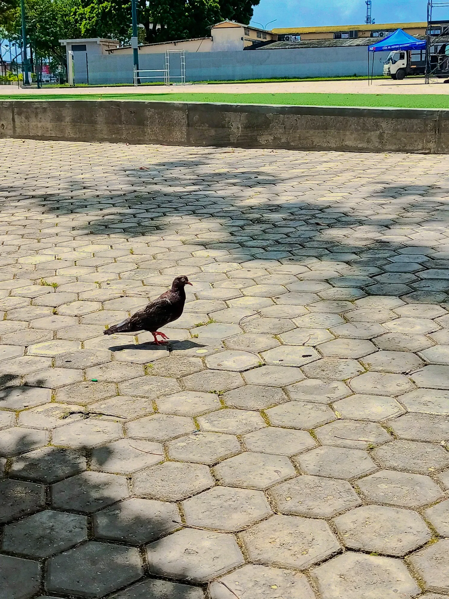 3aZnRpsgqqXnDmrN_IMG_20250802_133102_227_polarr.webp