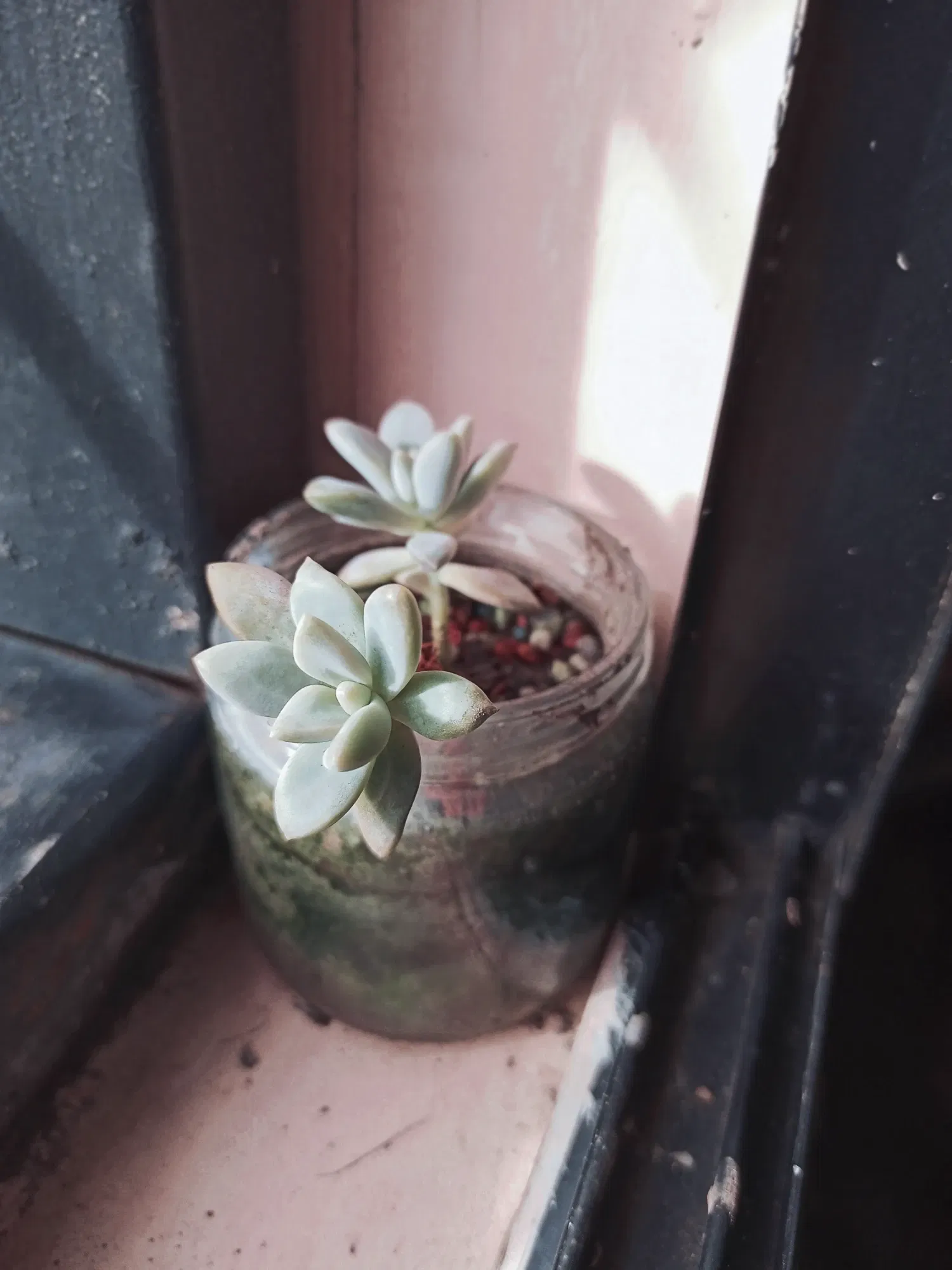 Productive day! ^^ [SPA/ENG]