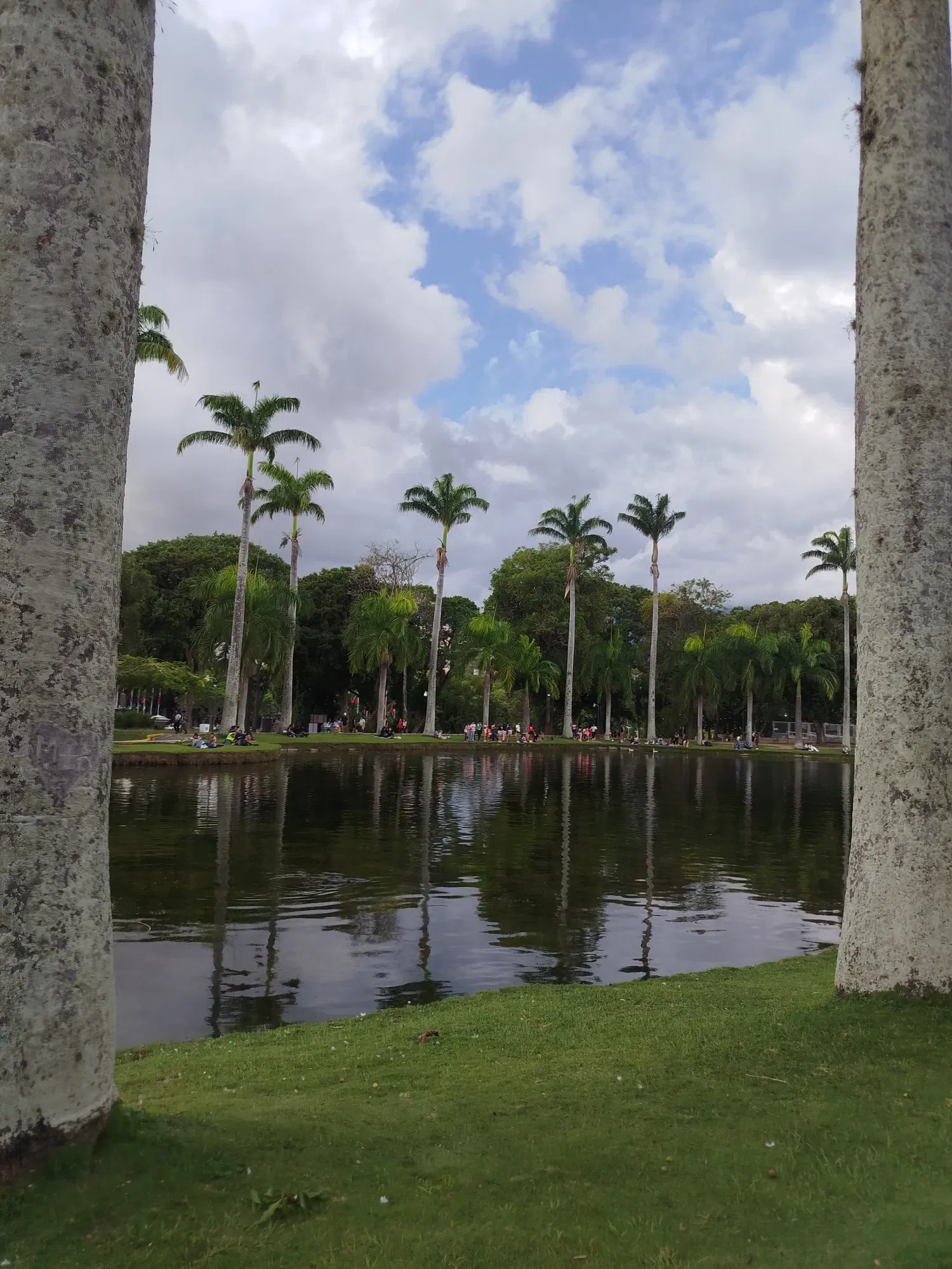 4bRexi4QPJwYGNHc_1000722049.webp