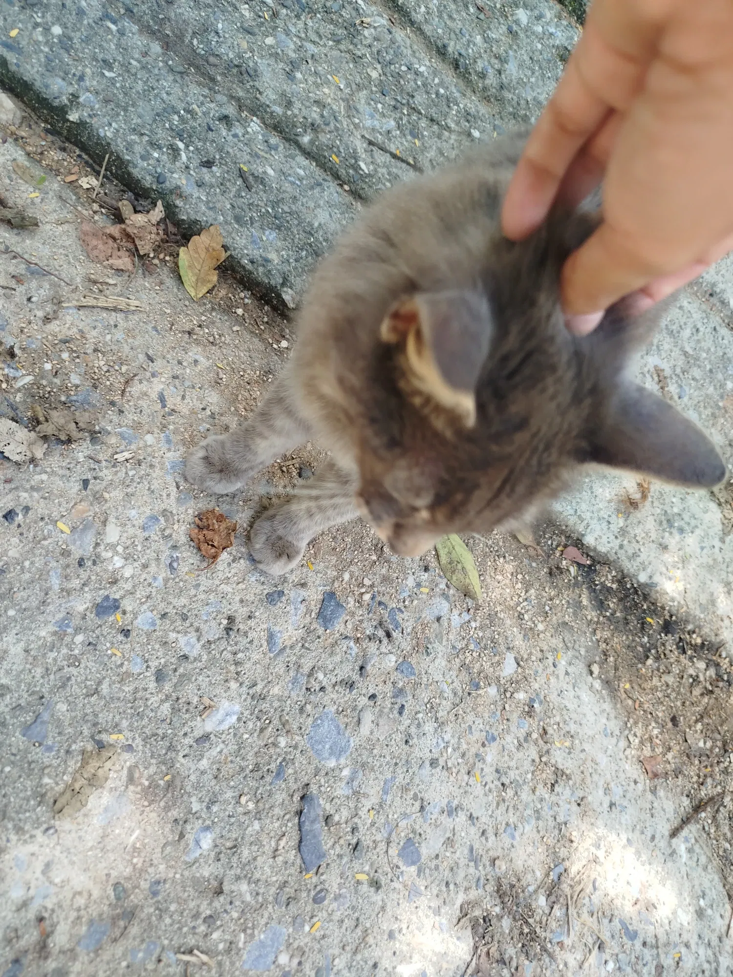 KT7bUfvdDz0me57I_1000731755.webp