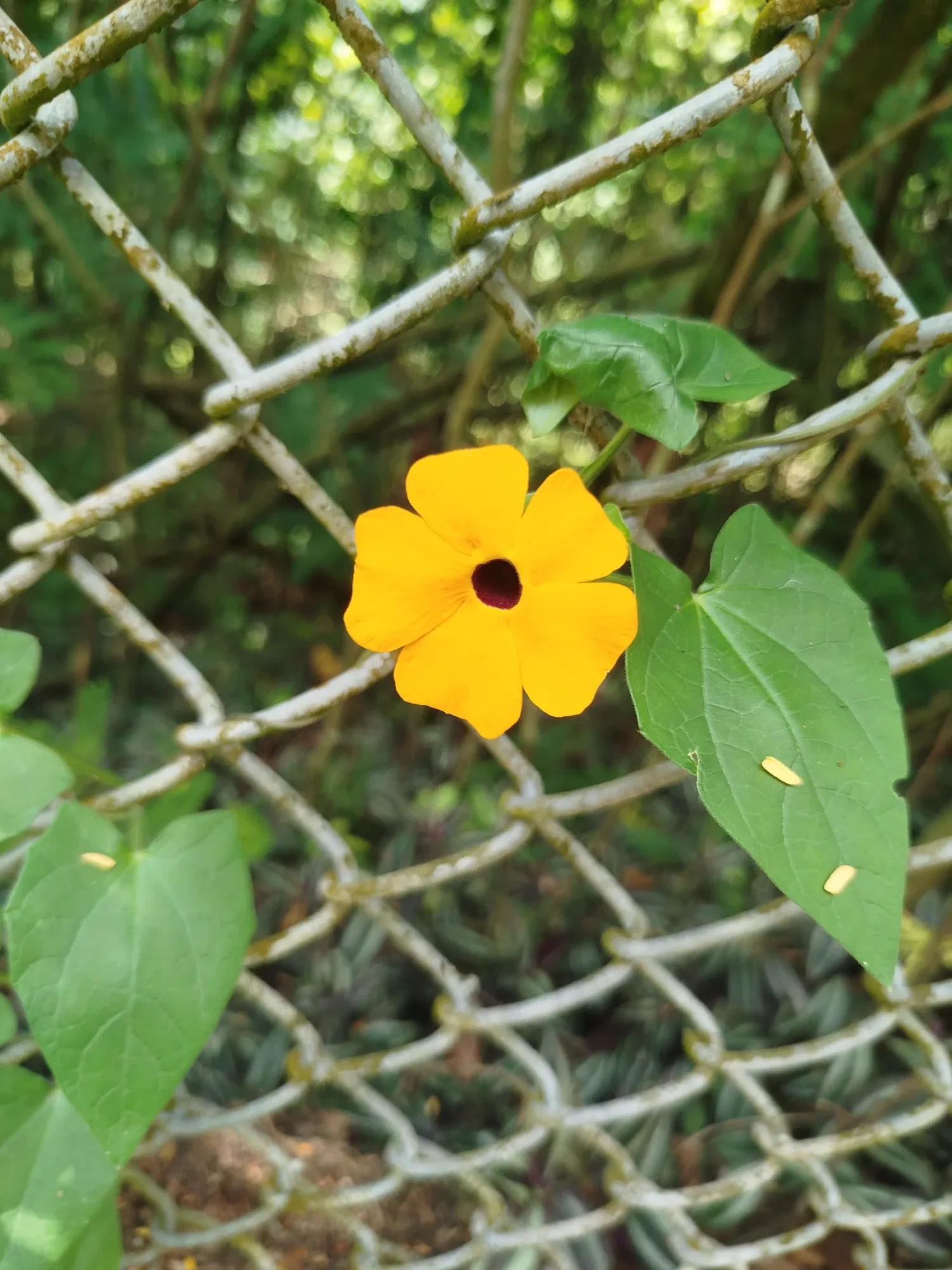 LyHSPdw4hQuaO1f6_1000731789.webp