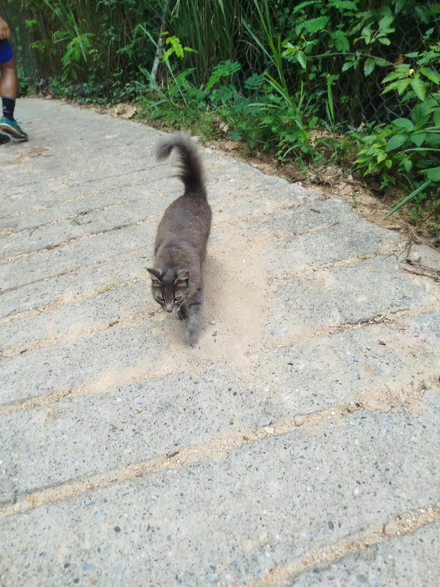 MuRlKlfL0qS1ajlM_1000750009.webp