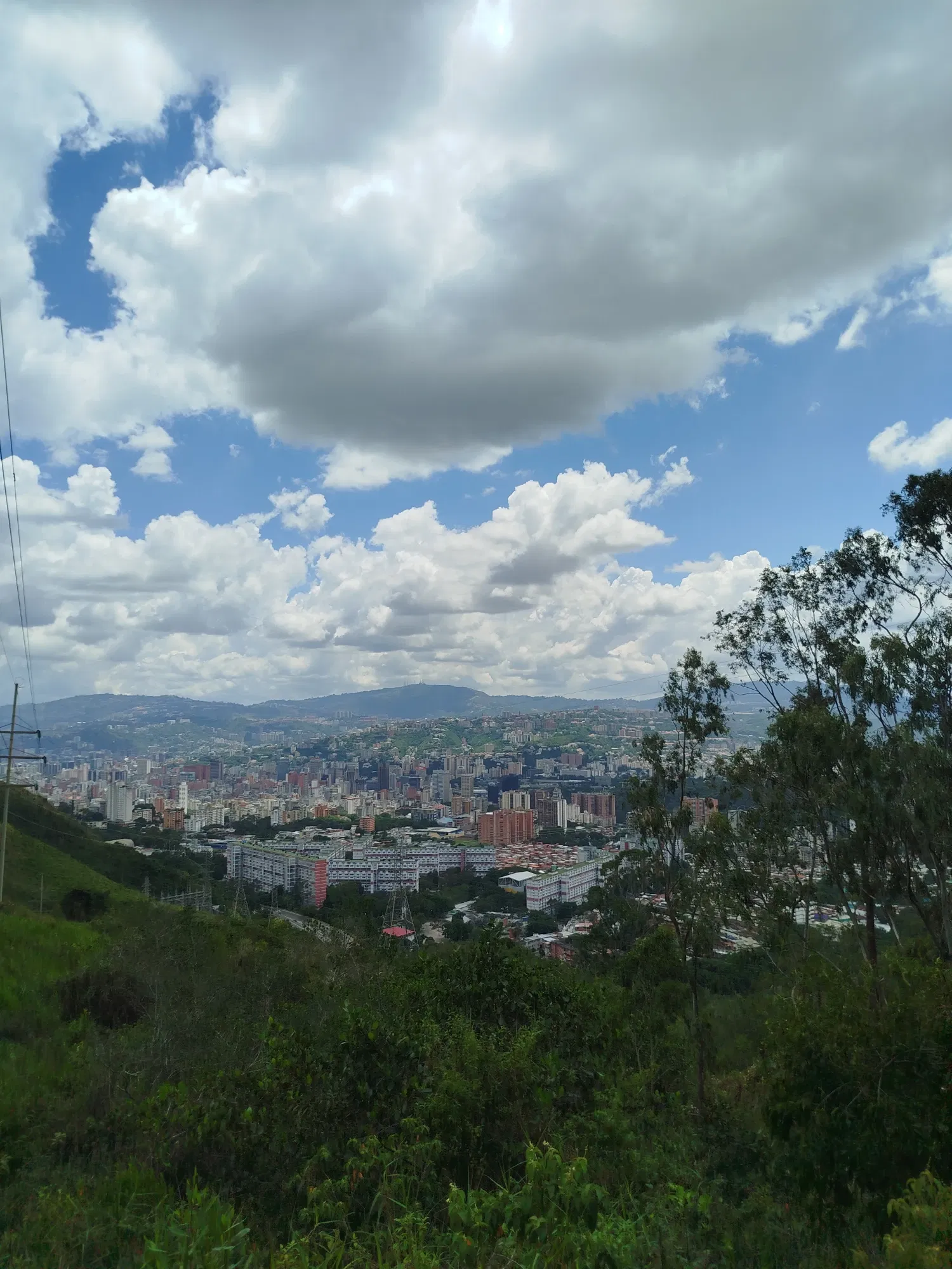 NiVOGHlYtZrQFicl_1000750180.webp