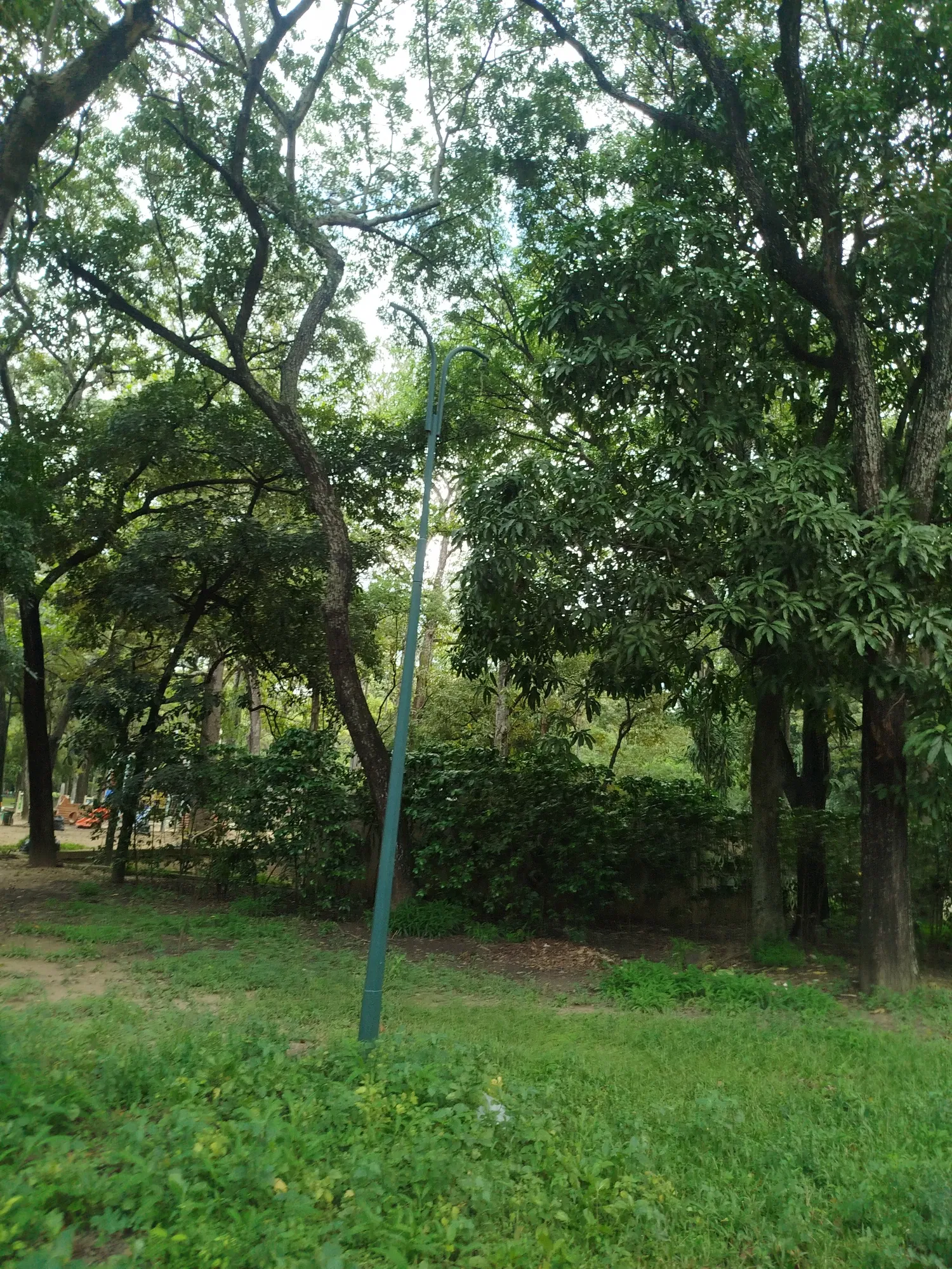 PNkY5BB6uvNmmmL1_1000747730.webp