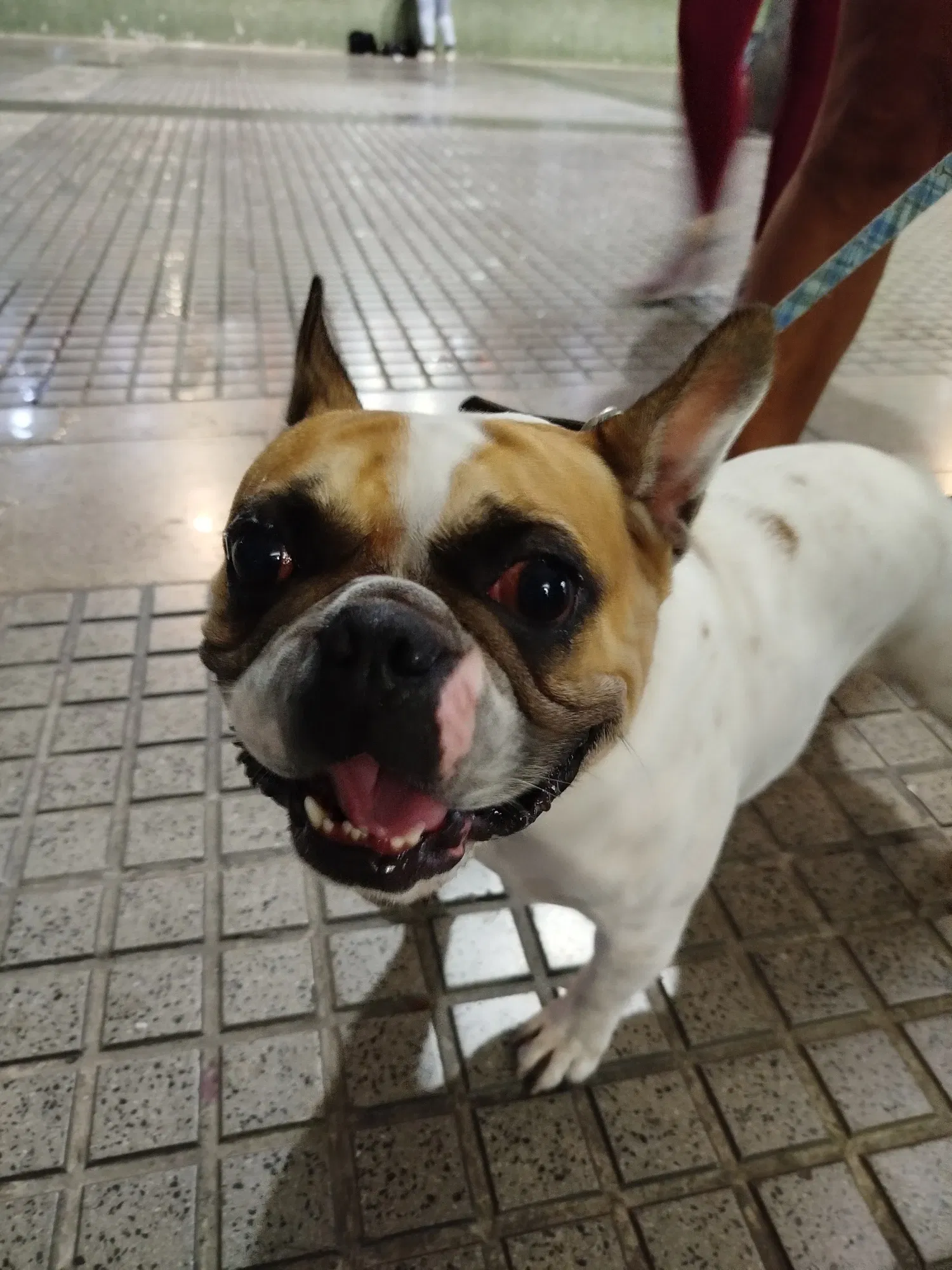 SIbYIyfDMAD6Tylg_1000715204.webp