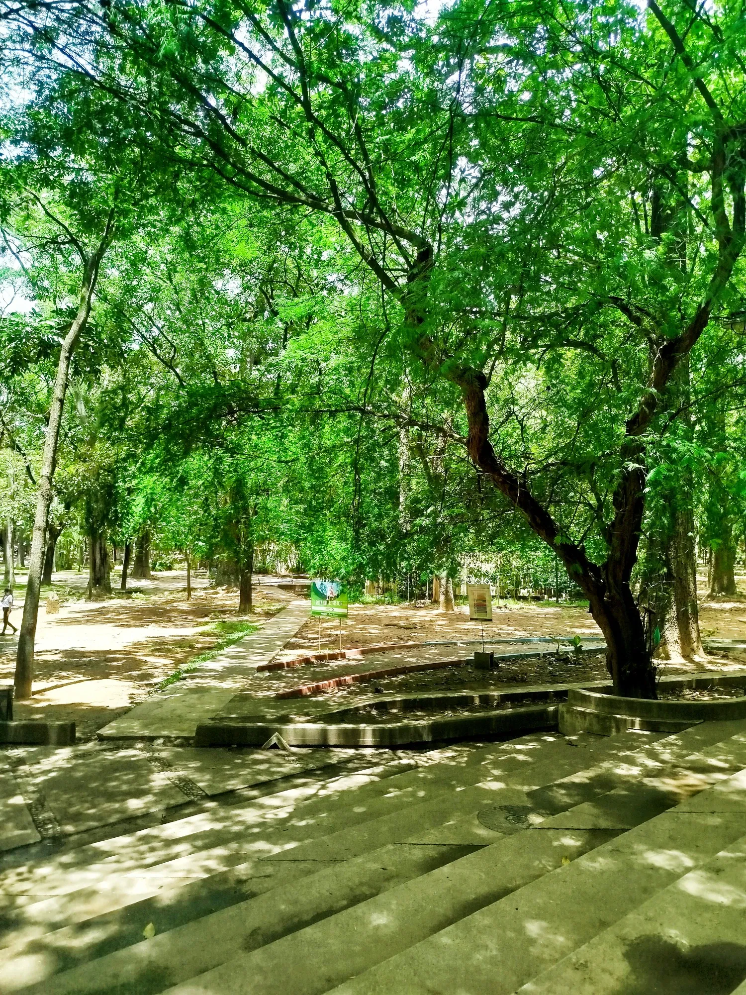 Sq27Czd1Jpoi7NBH_1000666251.webp