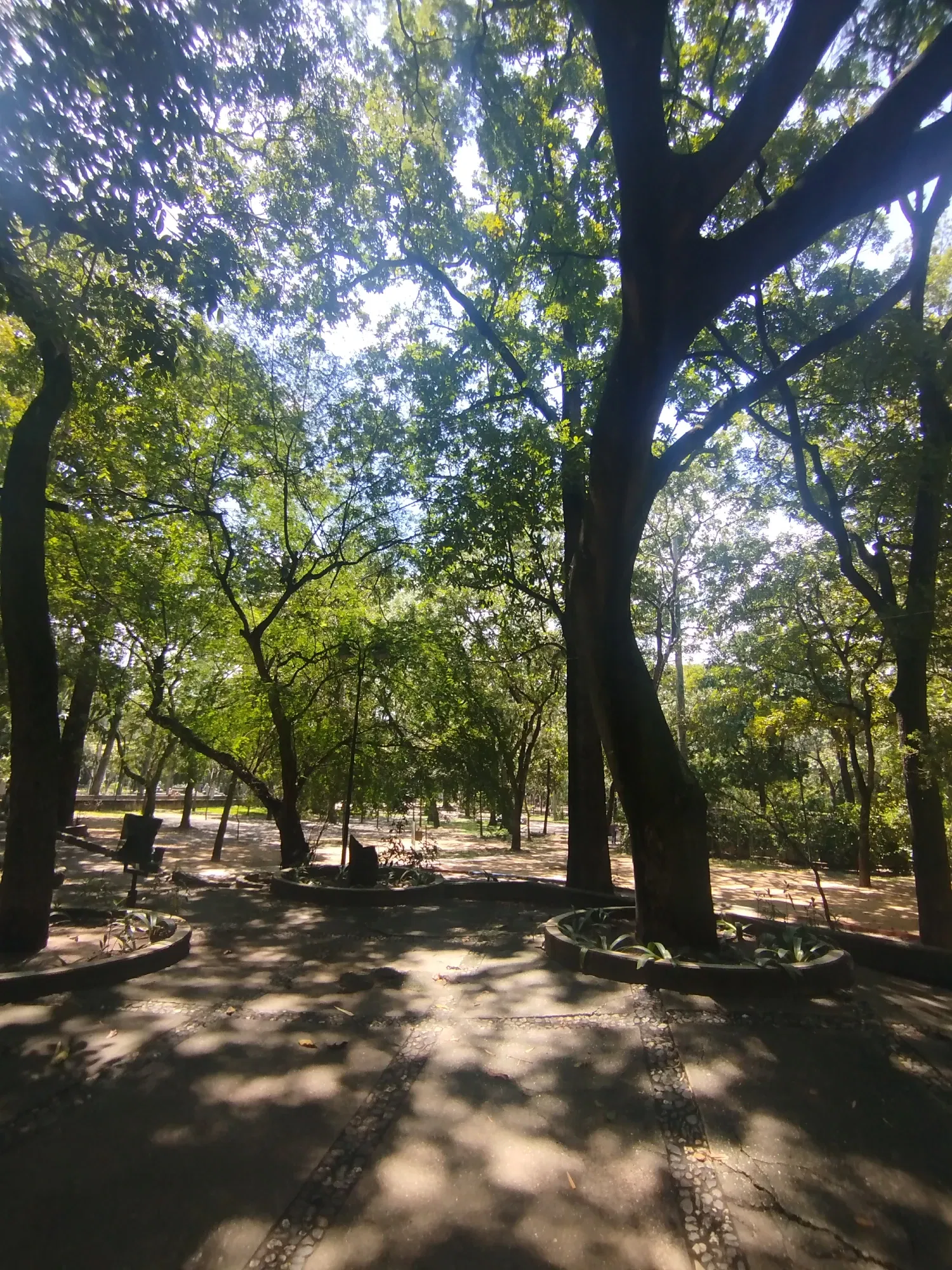 UGemfhTX2aav42LG_1000734309.webp