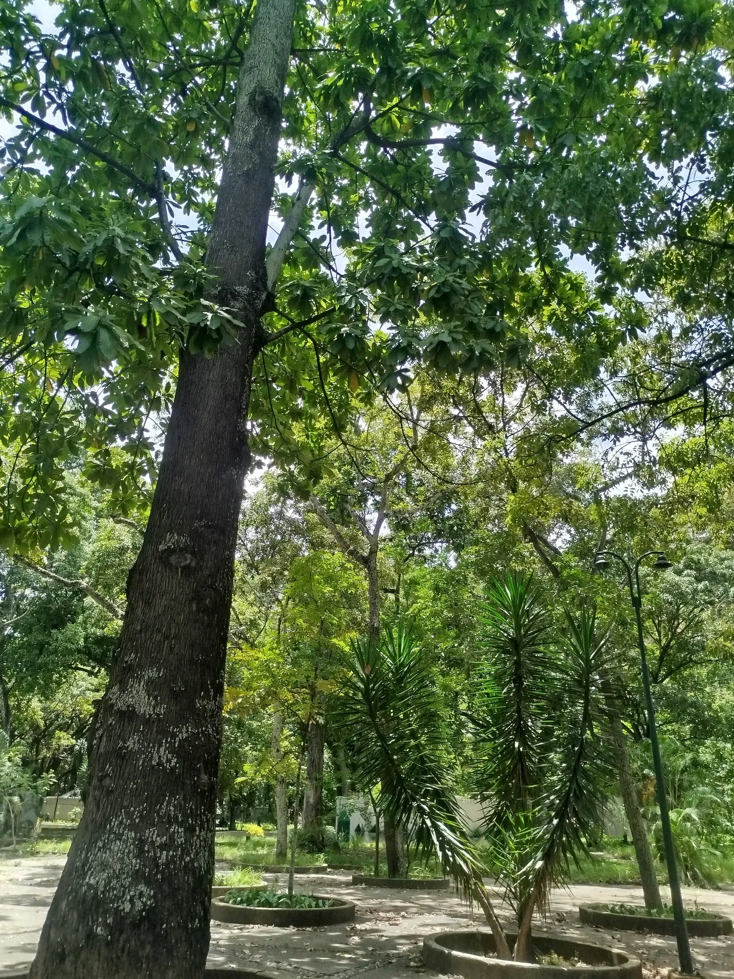n1NJX8vZulLlehgM_1000683550.webp