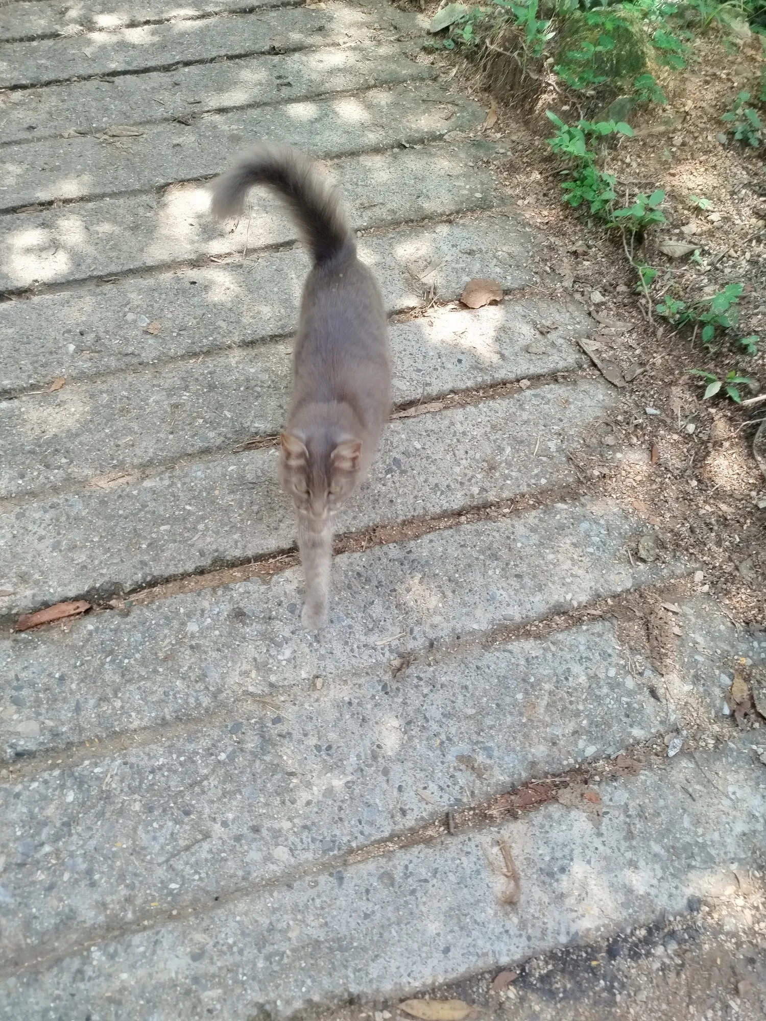 qPxSdQY7vUL1Zckw_1000731752.webp