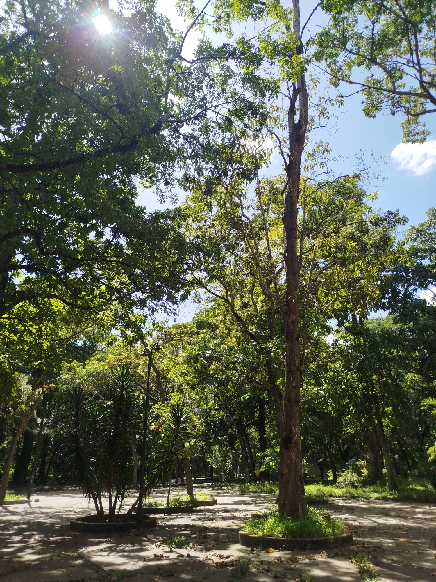 sB0imkEXfwNHJLa0_1000751856.webp