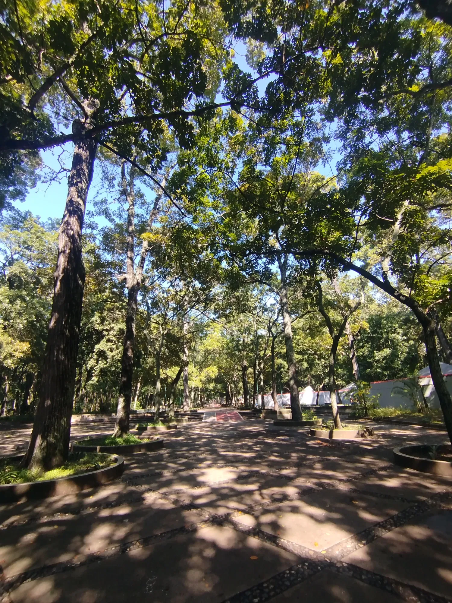 sxa56JP5qbdjr9qx_1000736755.webp