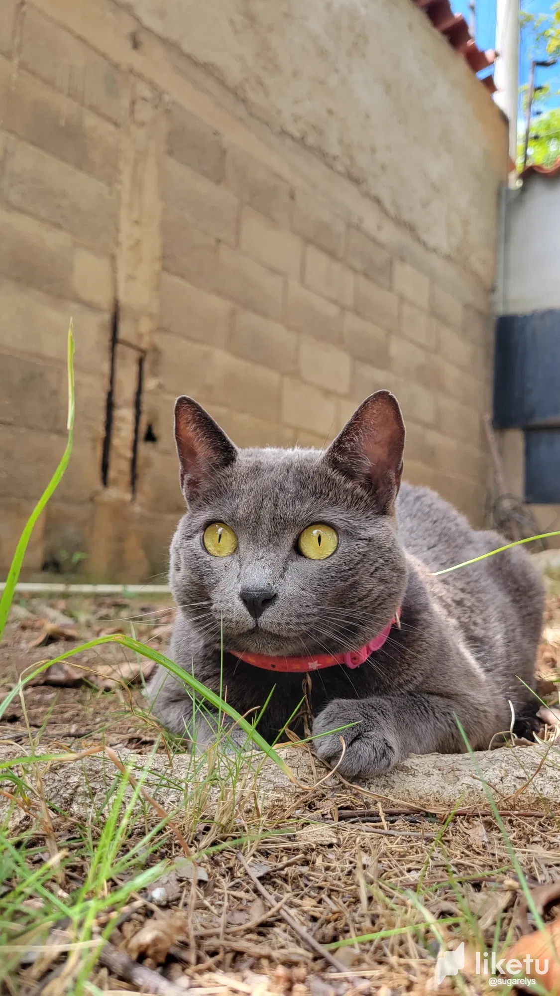 X2ZvkGfd8fNFyGEb_20250815_143431.webp