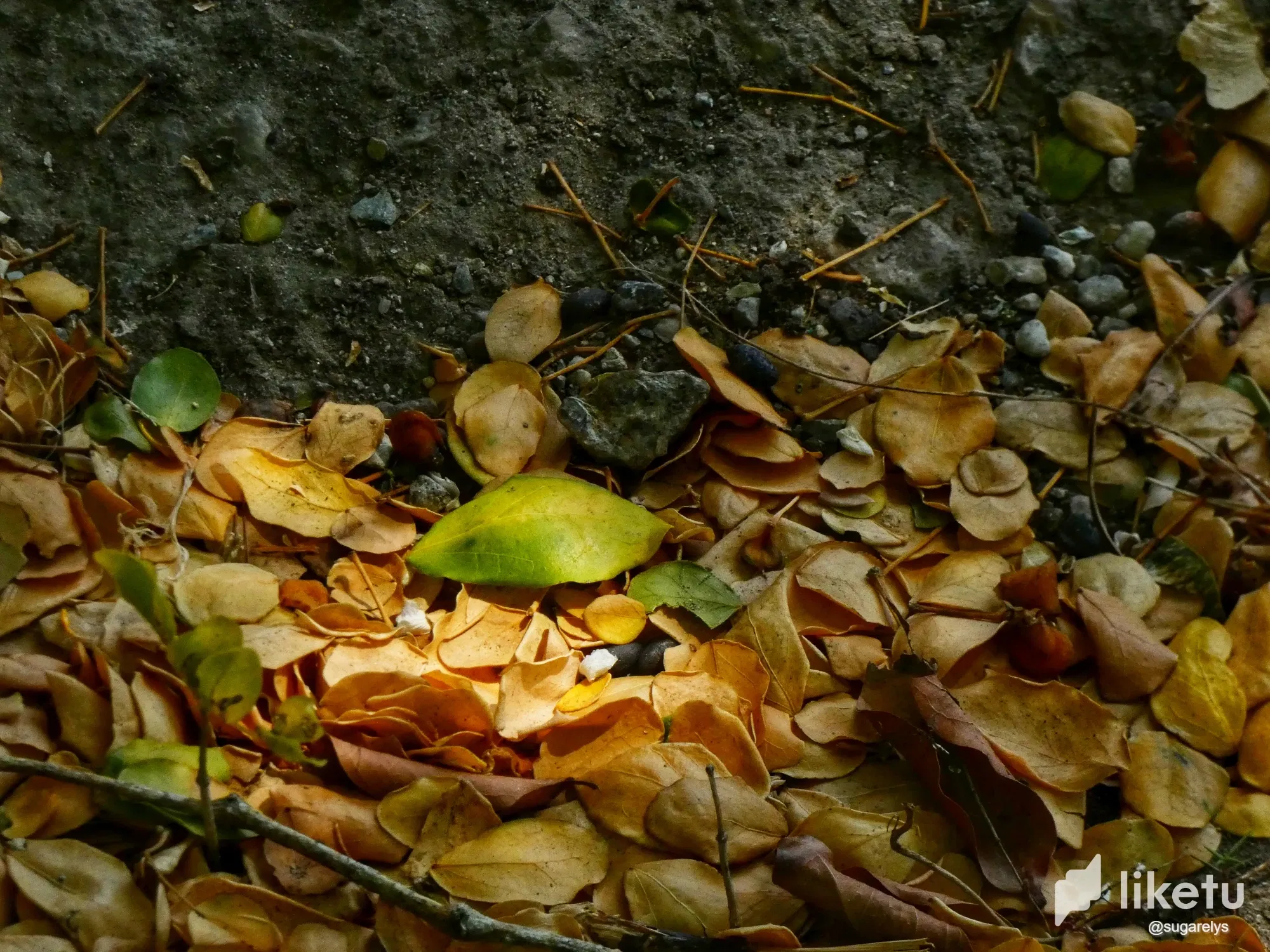 clv6814yy001yb5szejtp64tl_1000062705-01.webp