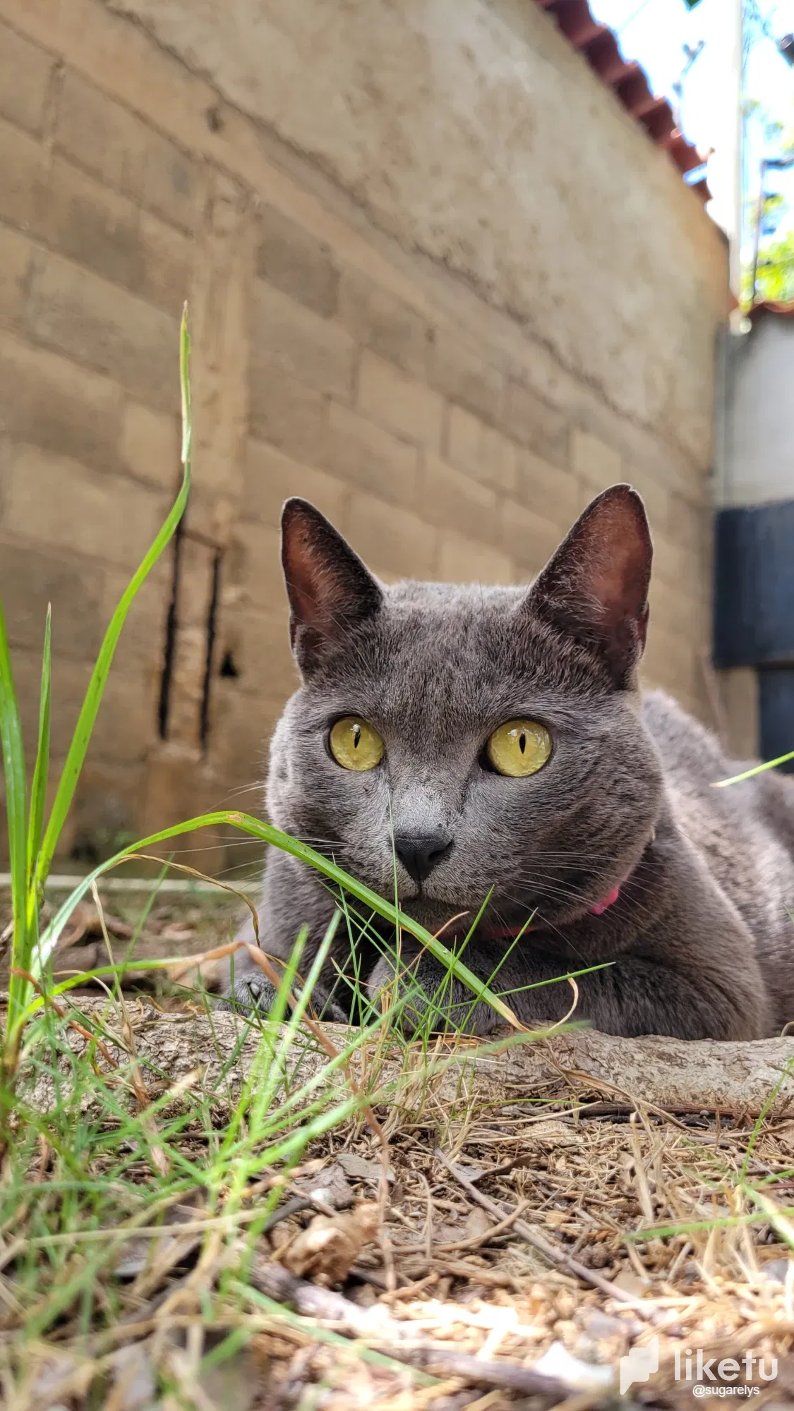 yDHO2T0GZrGHY4AM_20250815_143445.webp