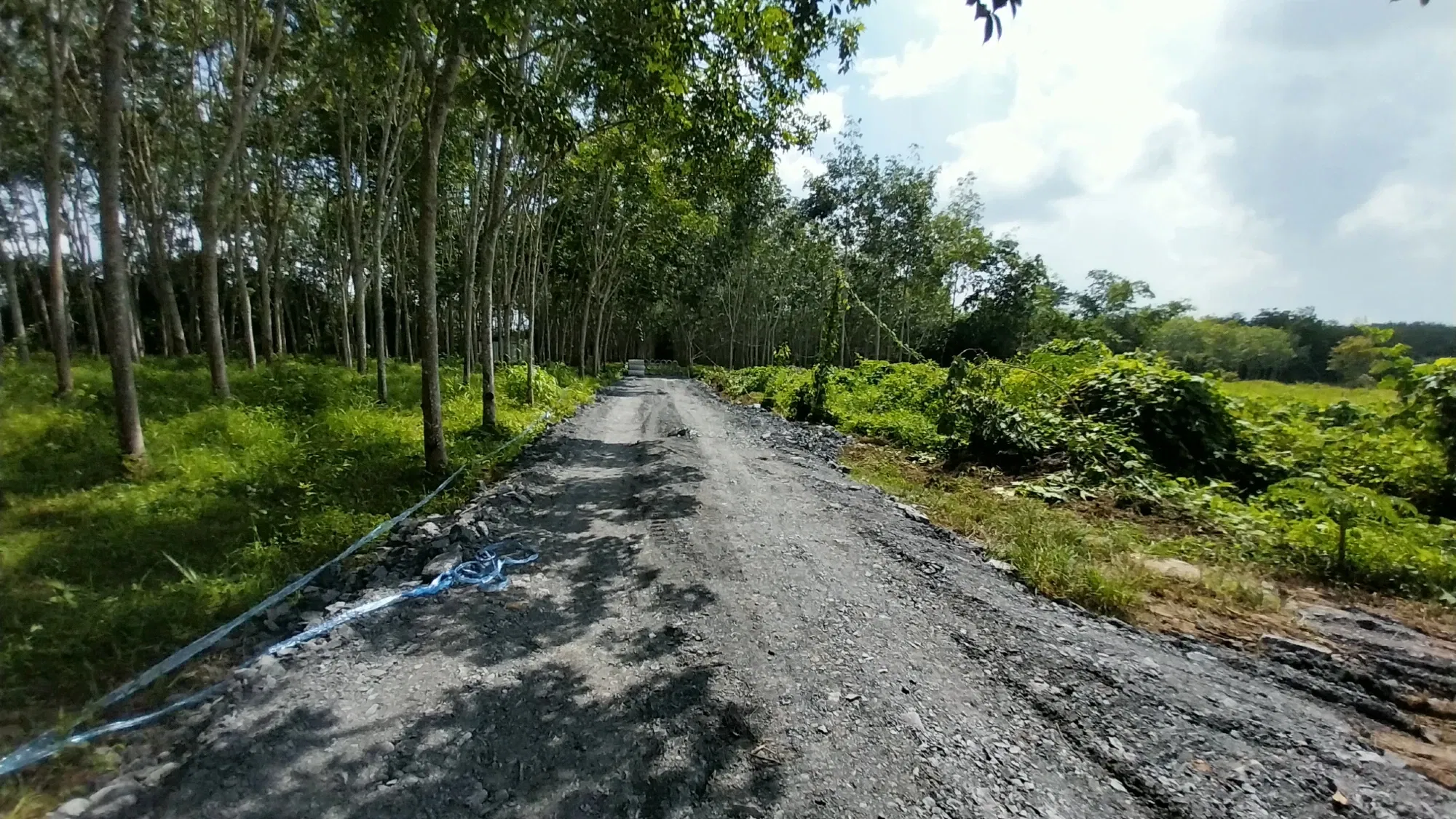 b2IHBpdsZqoEF1Le_1000025027.webp