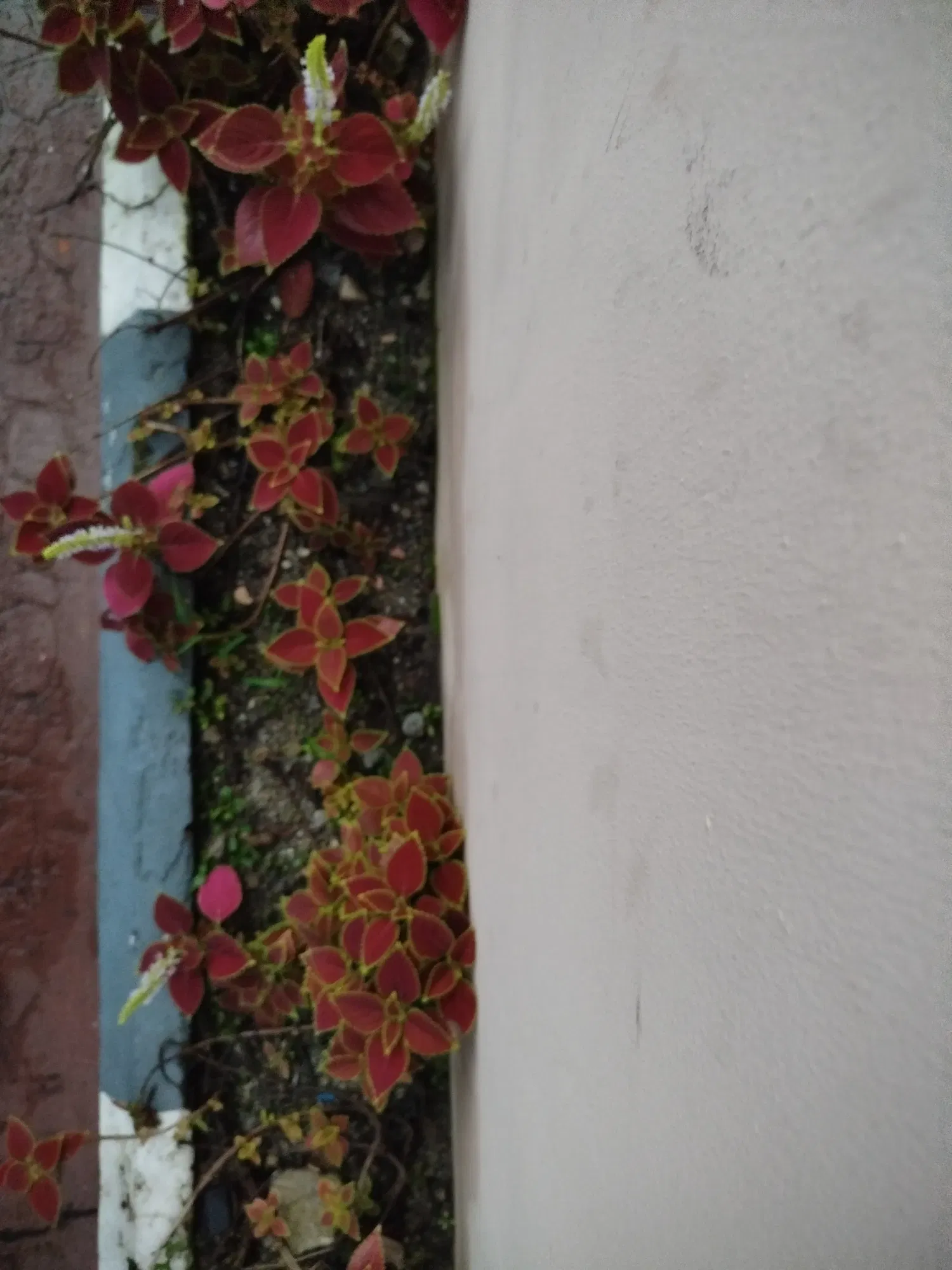bychiomKBUwPlV0G_IMG_20250913_184155.webp