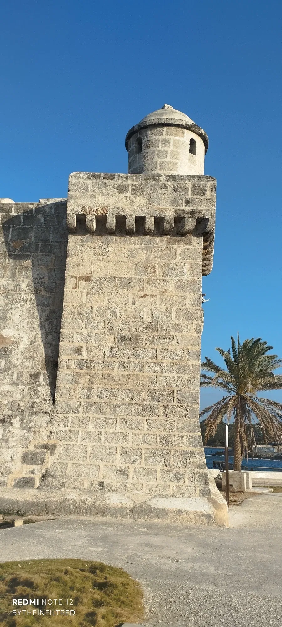 BiUj7867xr9ci9yI_1000491820.webp