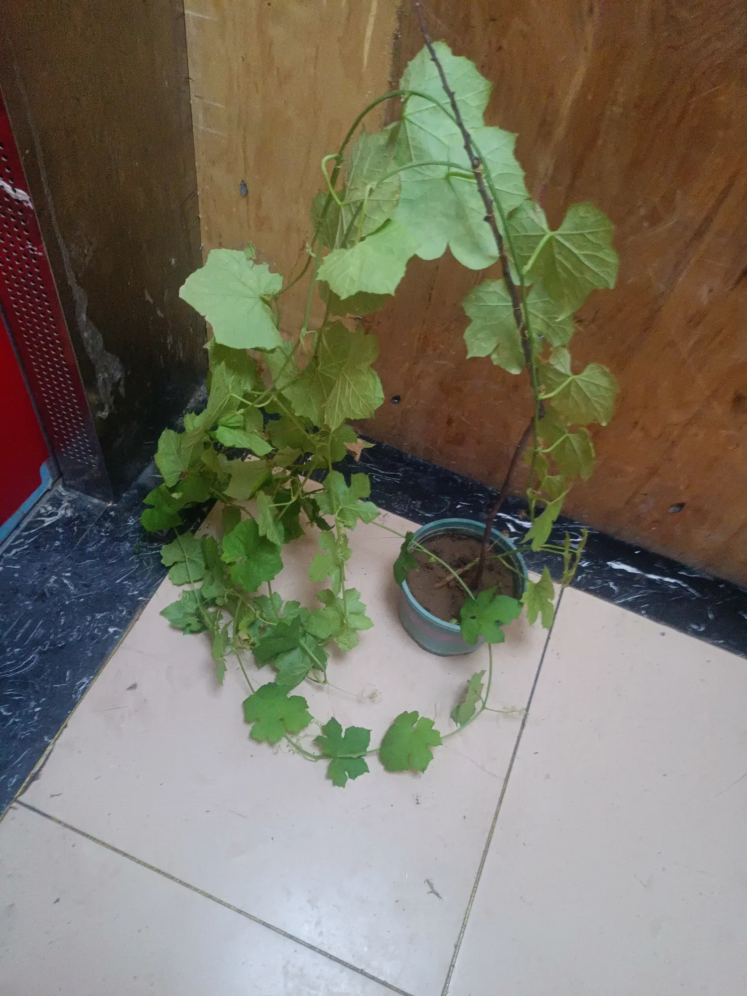 1HhrZCBQfkfsd09J_IMG20250803092417.webp