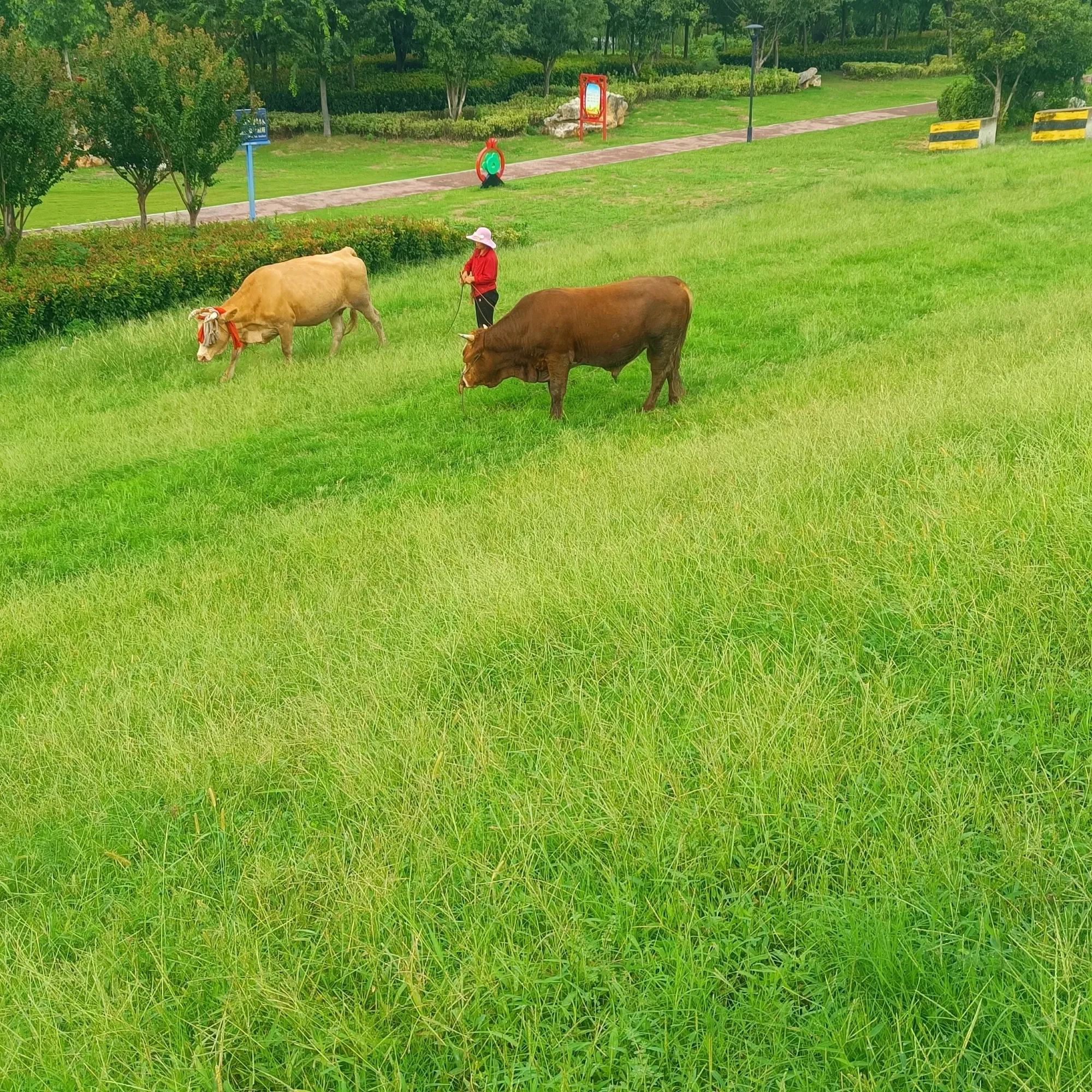 6zZx8DwYz3JZWXrE_IMG20250913160557.webp