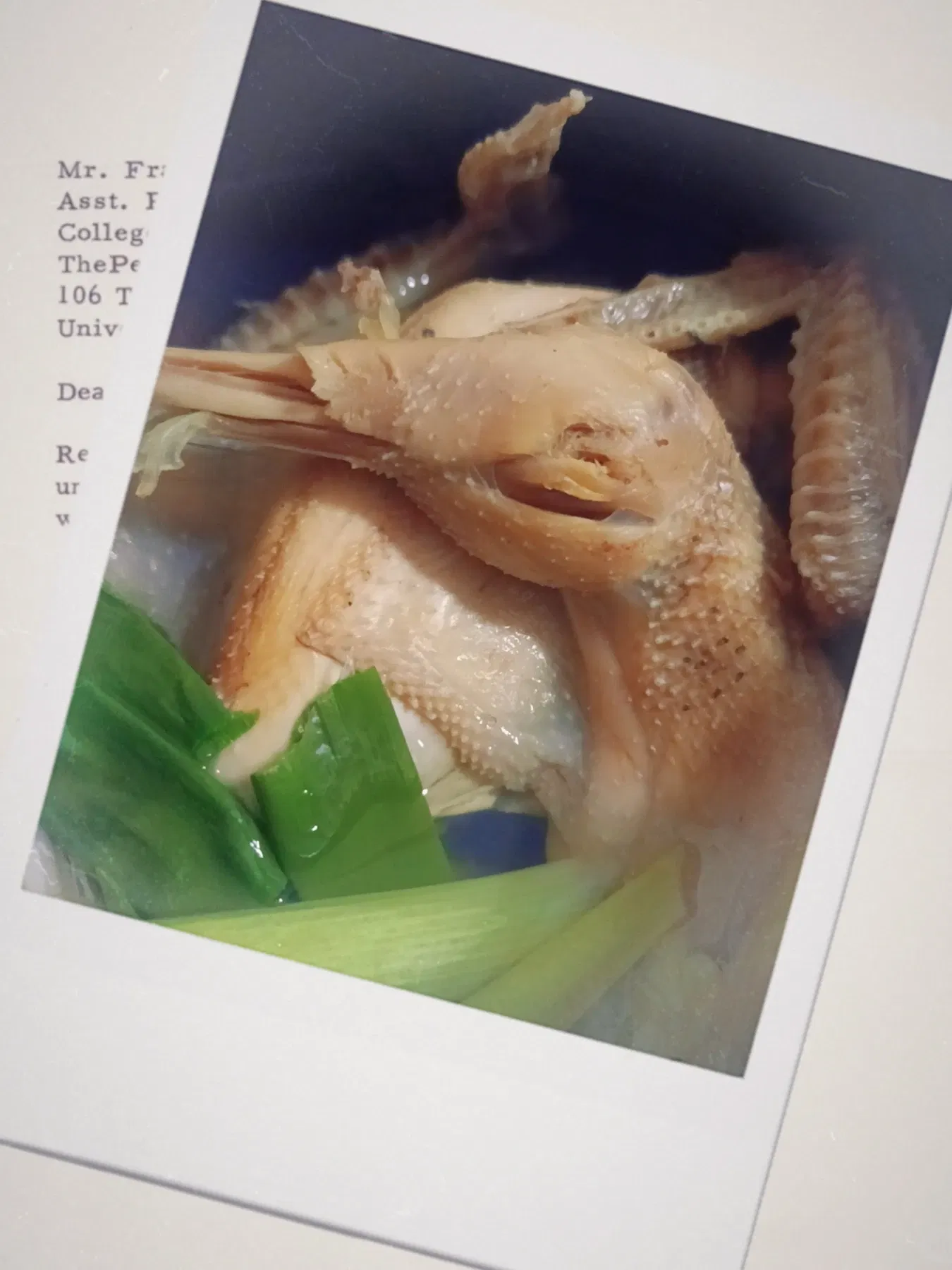 YgVJoklN03KiTYZC_MEITU_20250215_220307374.webp