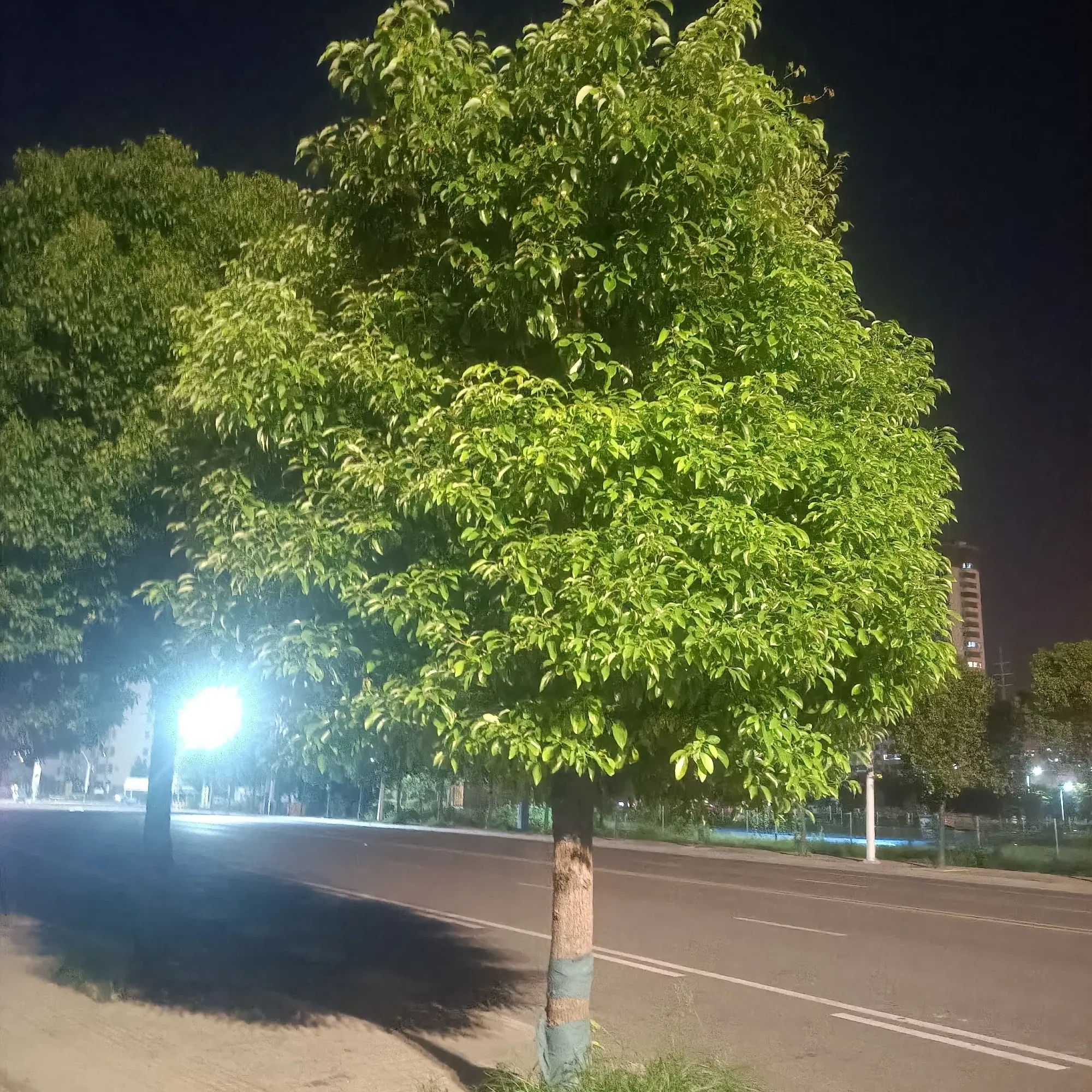kaLau81UDE8T7RII_IMG20250903211429.webp
