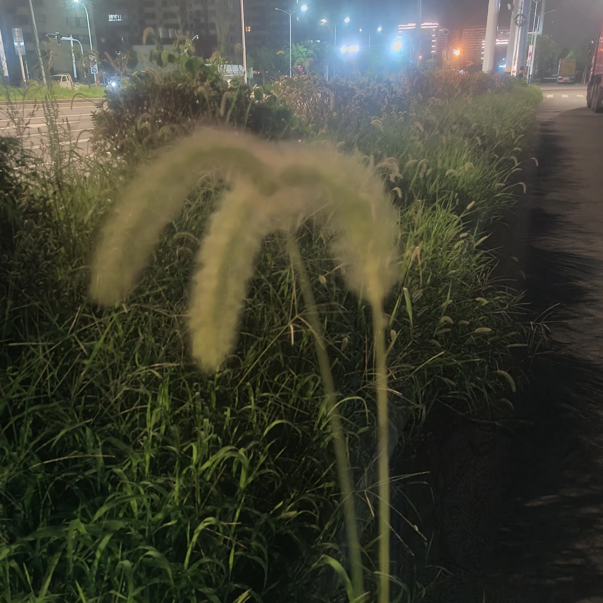 lP2Yln1U2GqqIvix_IMG20250903210117.webp