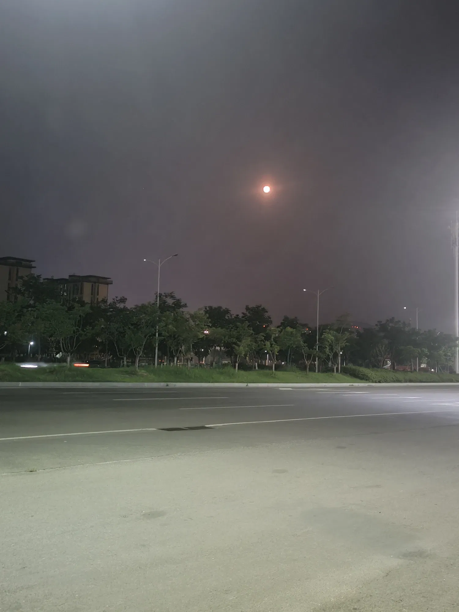 nmwAZkw8lBleY1fx_IMG20250710210849.webp