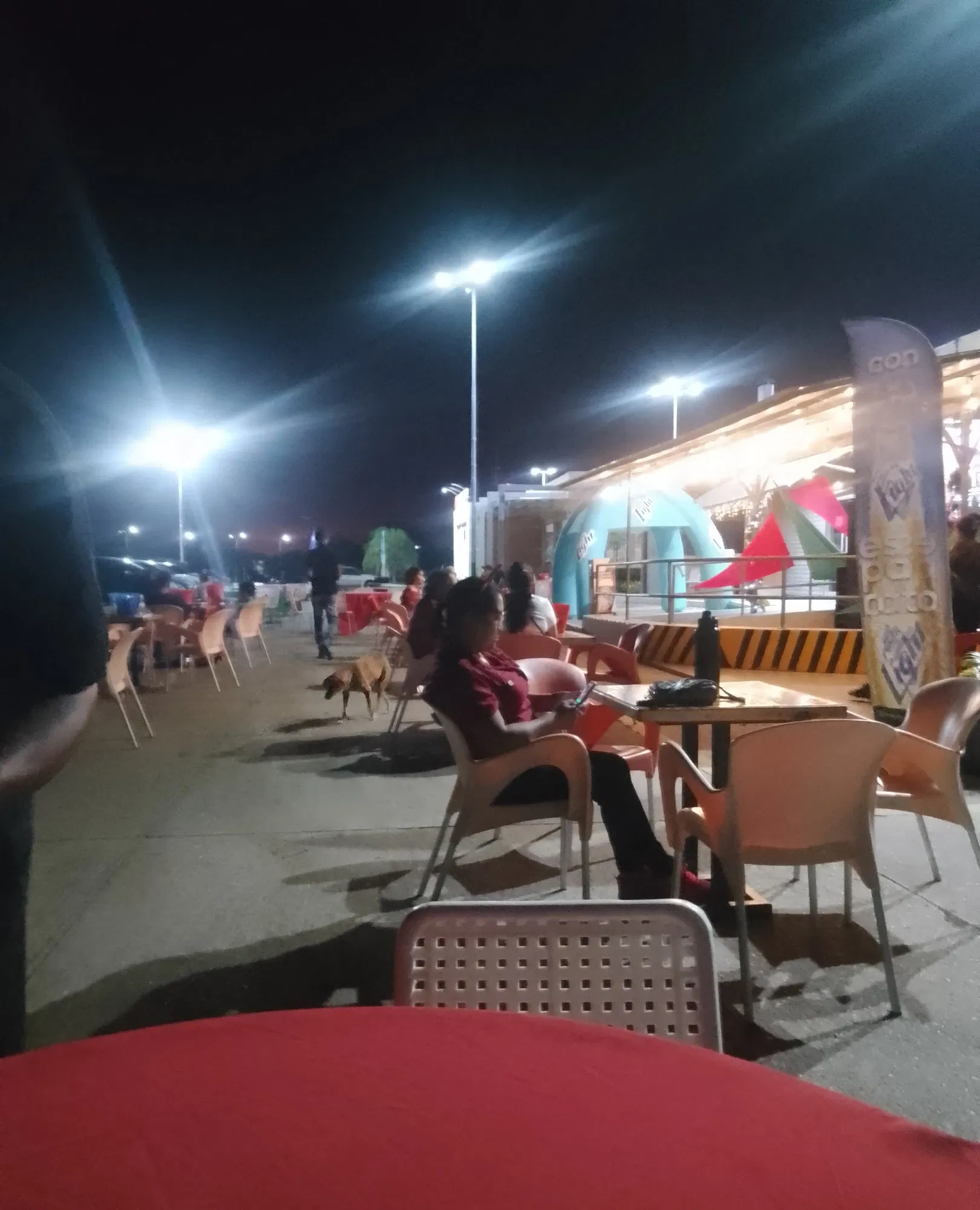 NfbRaJb9CrLPpleh_IMG_20241130_202736_HDR.webp