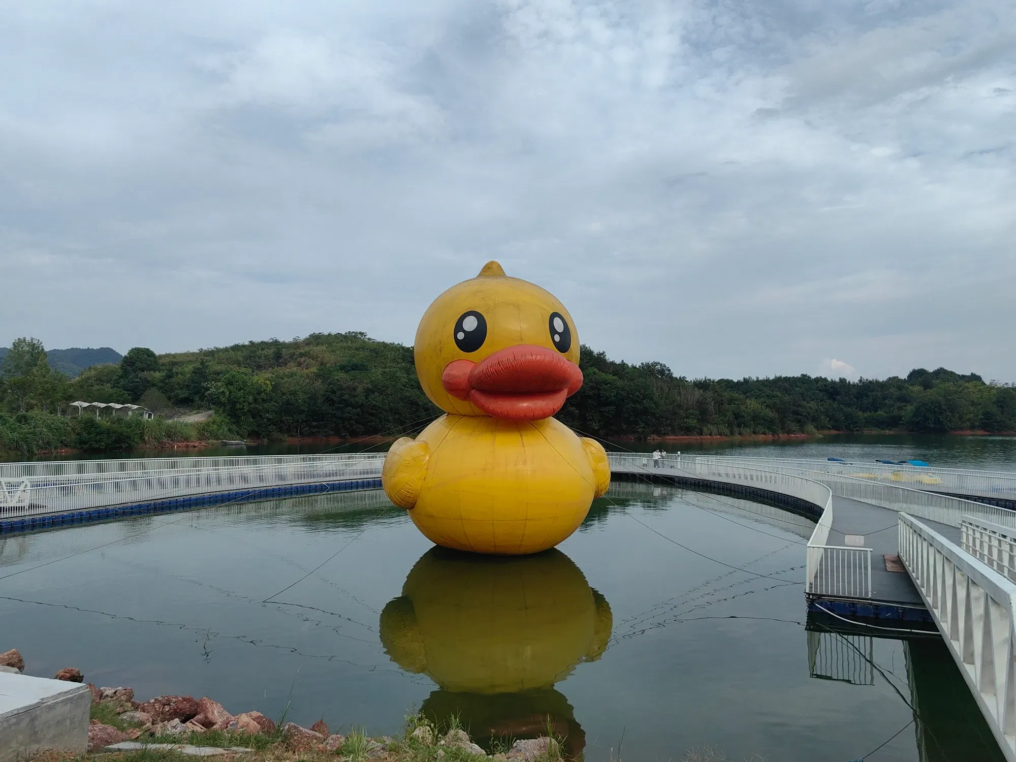 450ppbXsQDGCIX2c_IMG_20250810_164443.webp